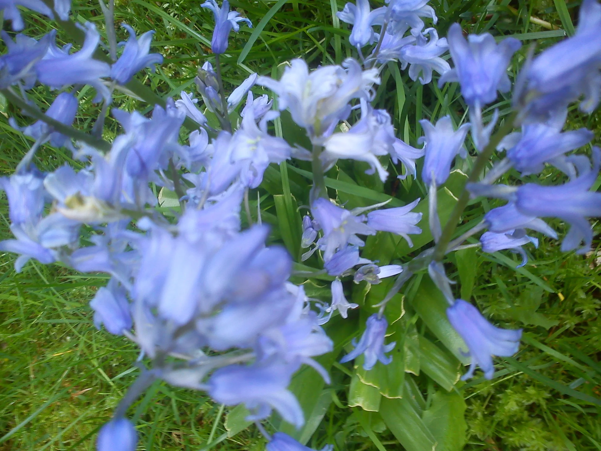DSC07154.jpg