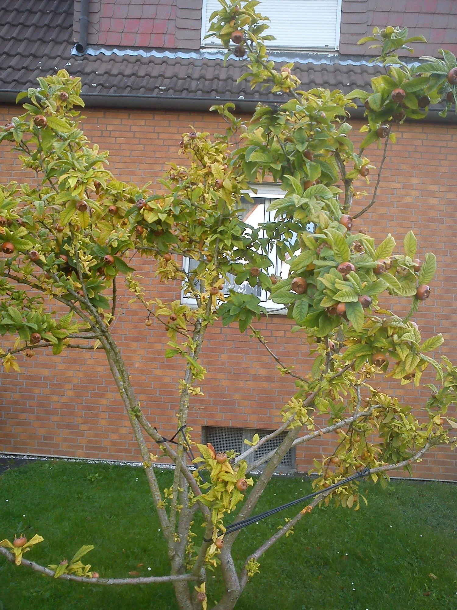 DSC07425.jpg