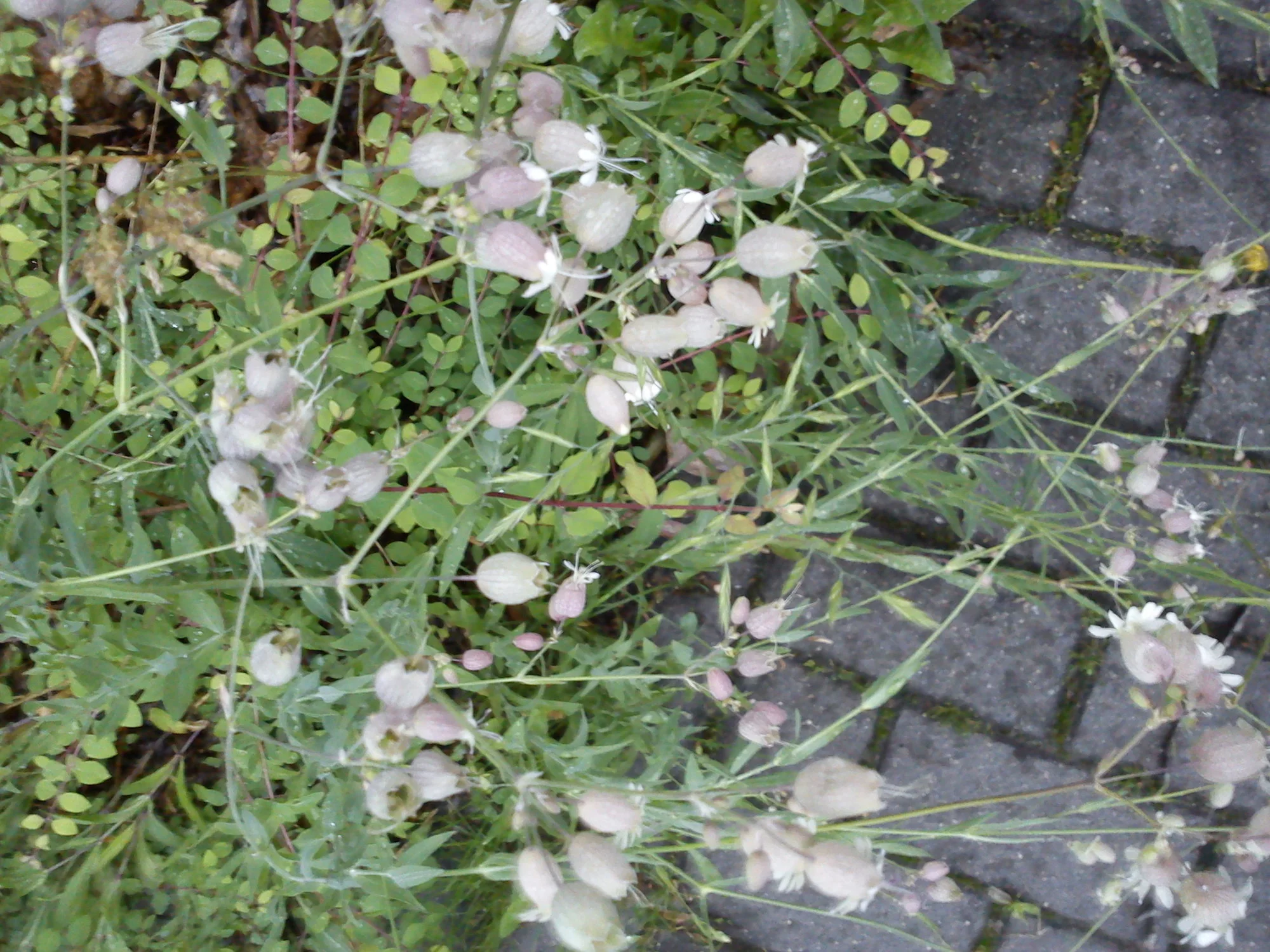 DSC07897.webp