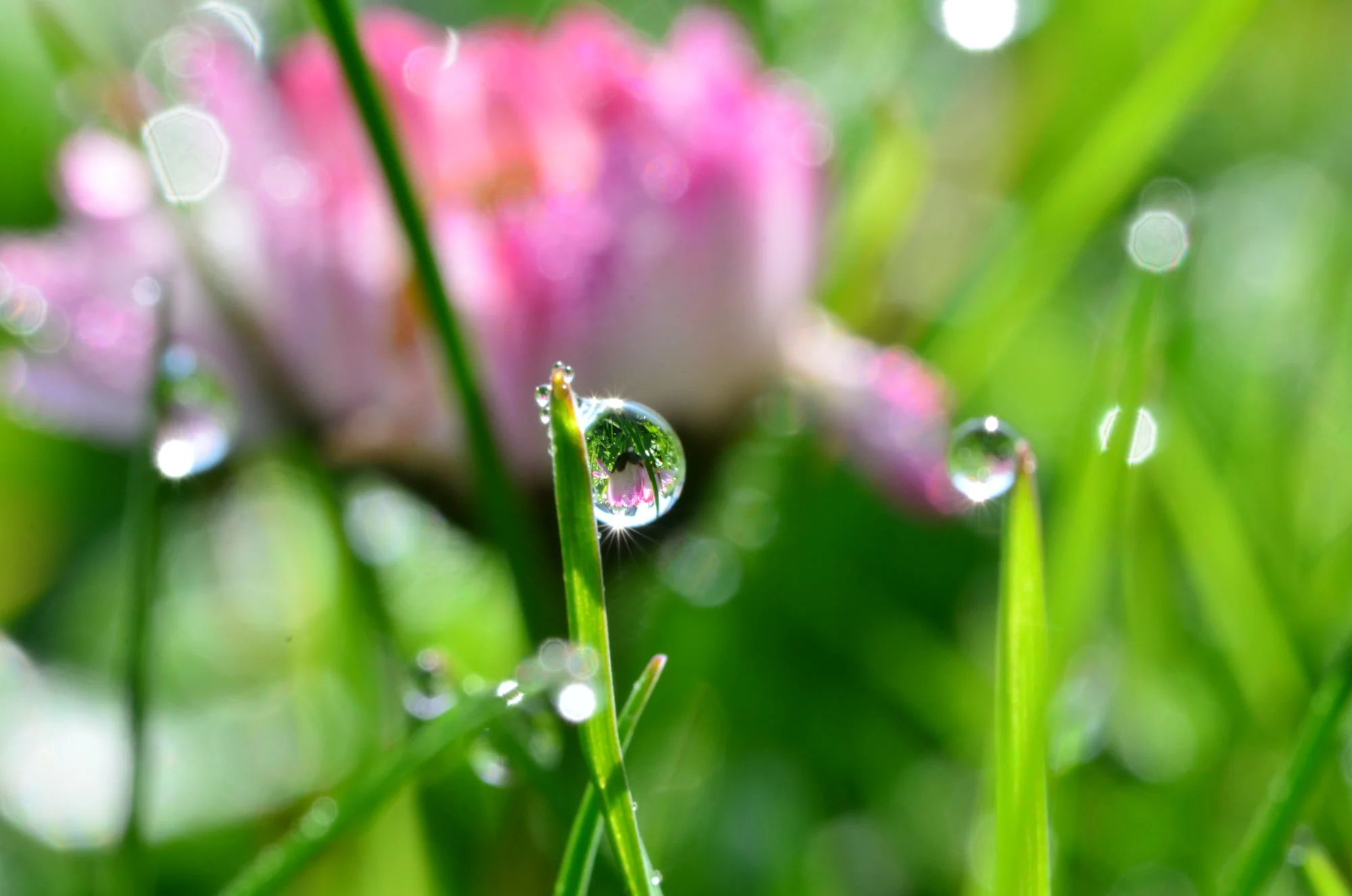 DSC_0010.webp