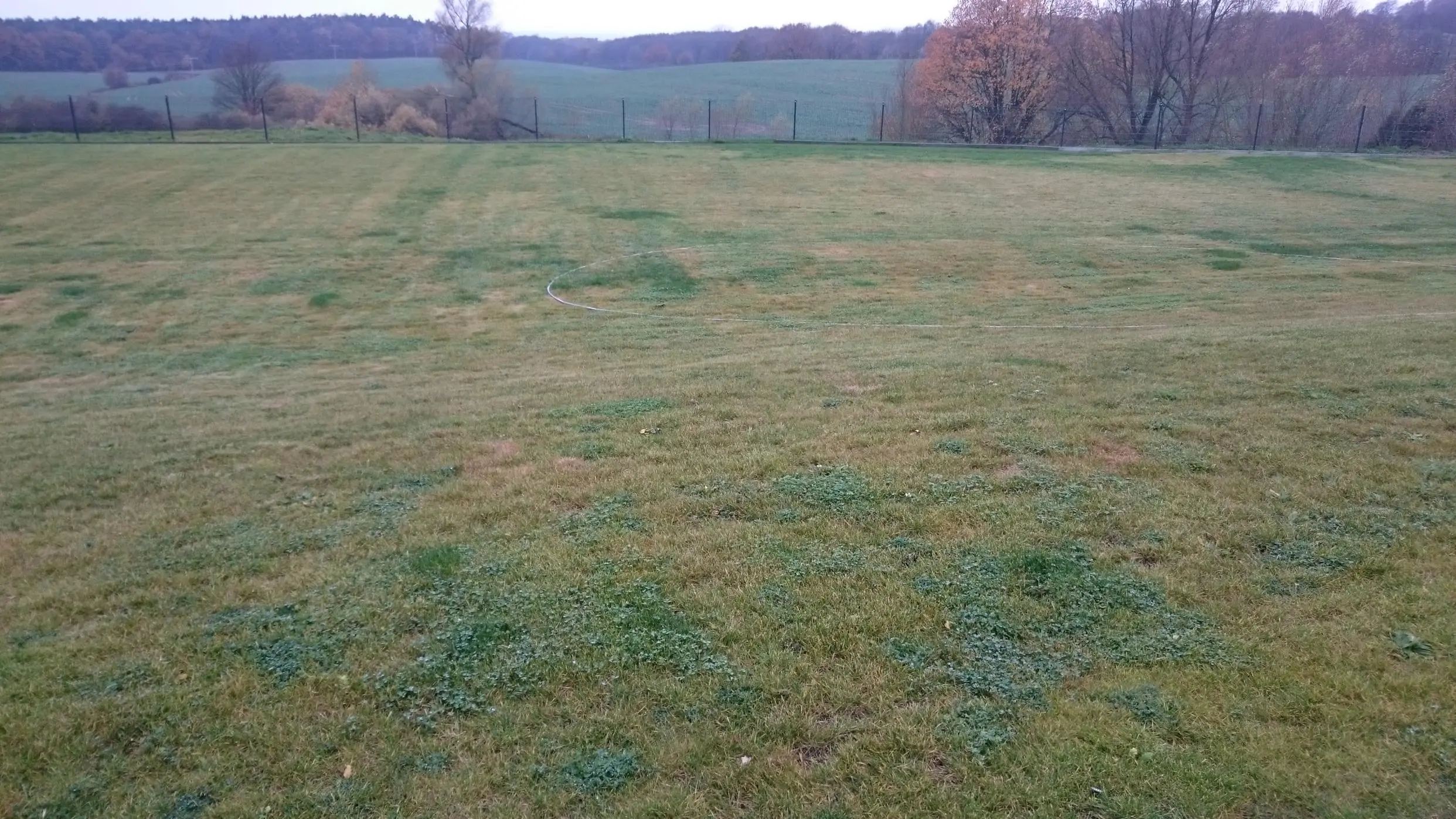Rasen wird Braun gelb