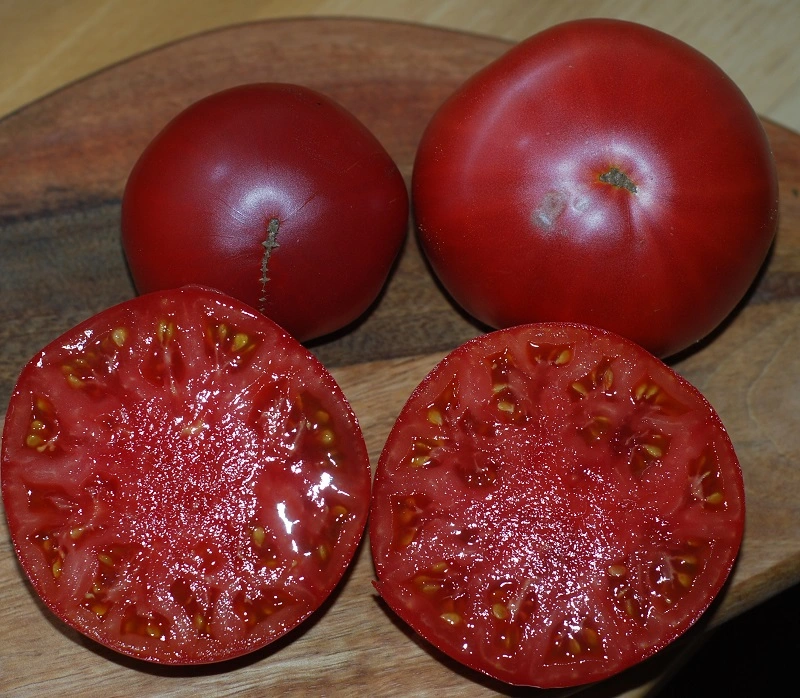 DSC_1161_Ausschnitt_klein.webp