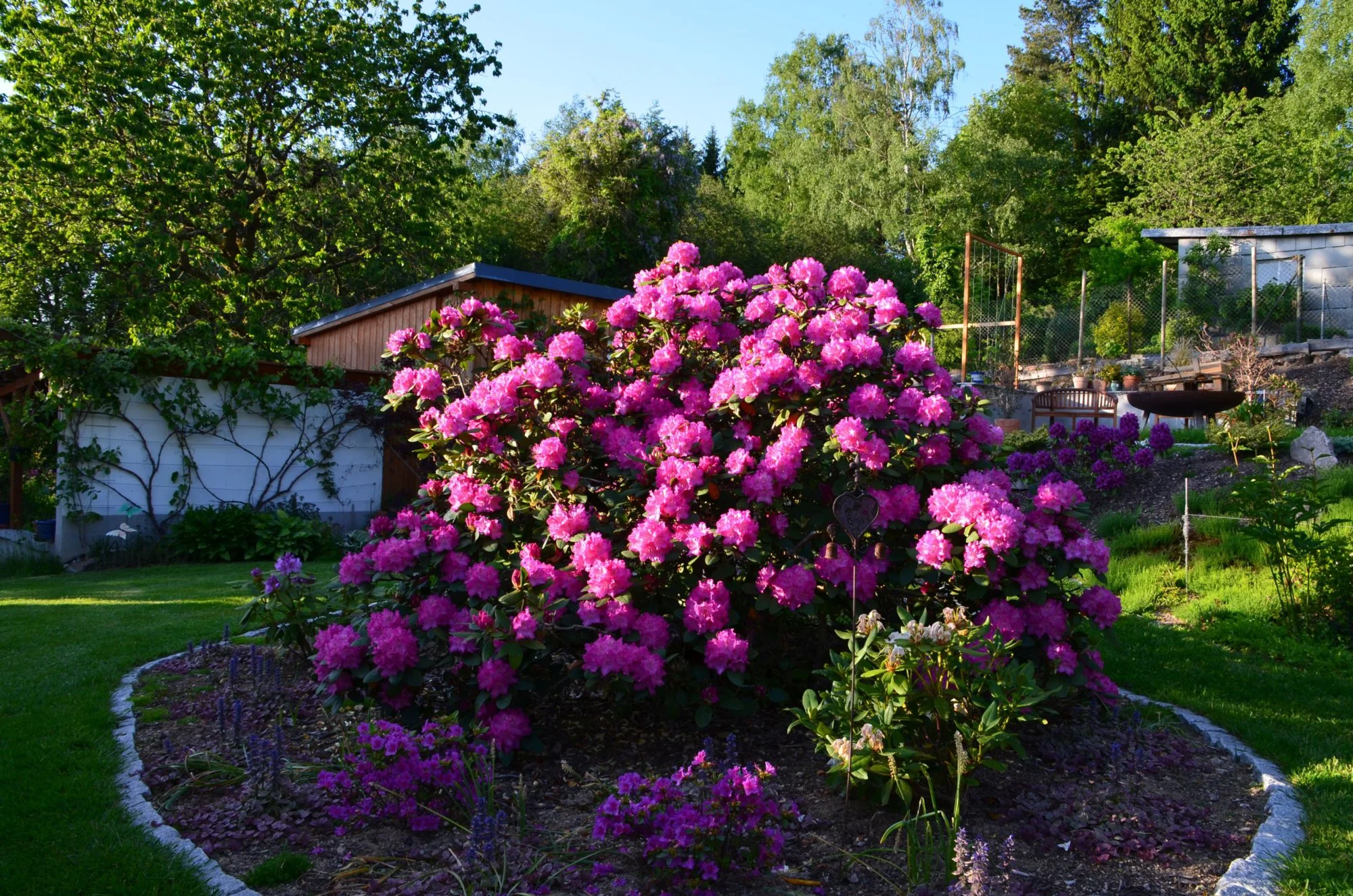 DSC_363a.webp
