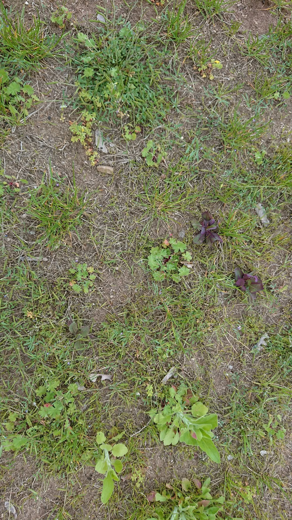 DSC_4172.webp