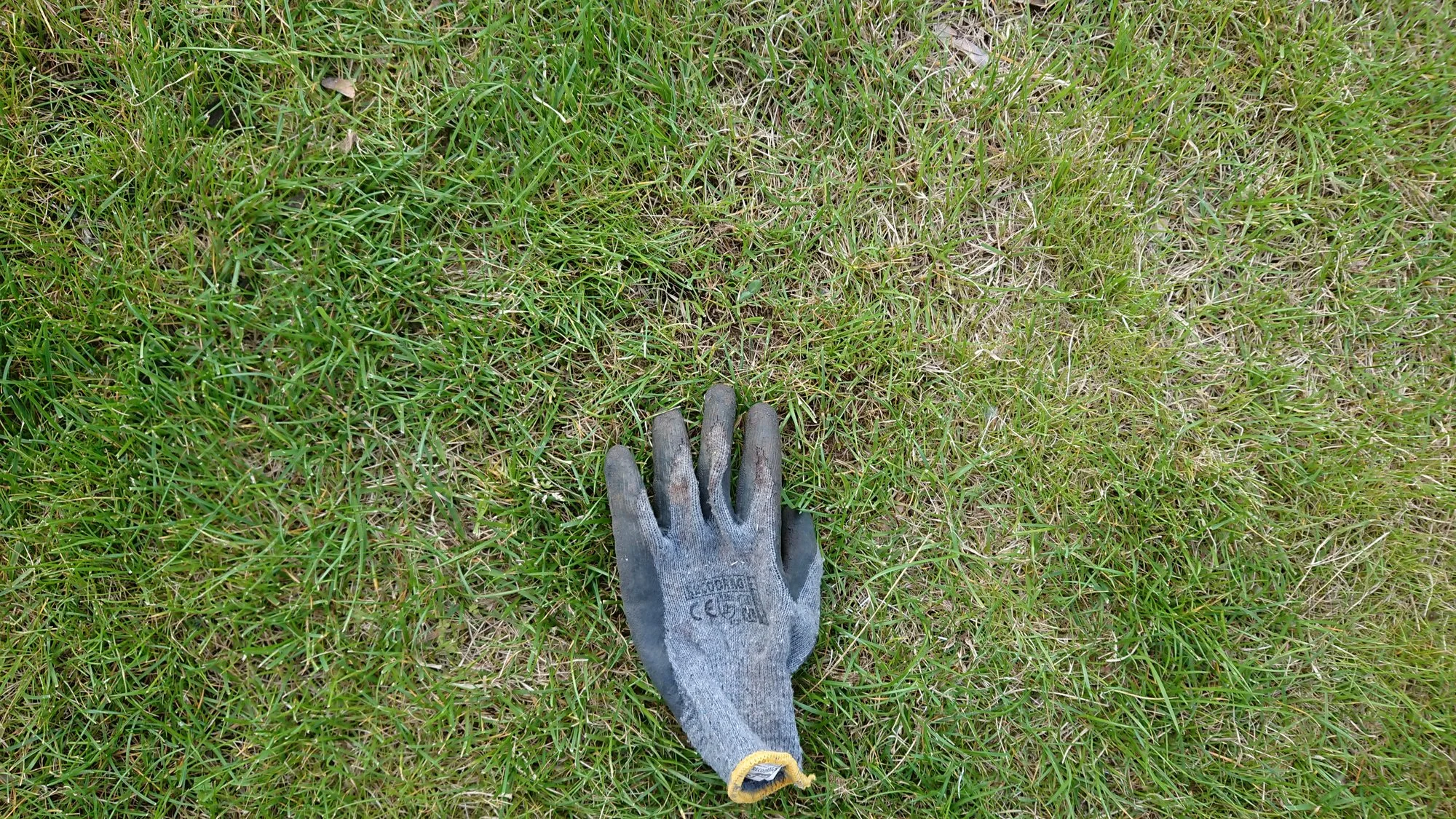 DSC_4174.JPG