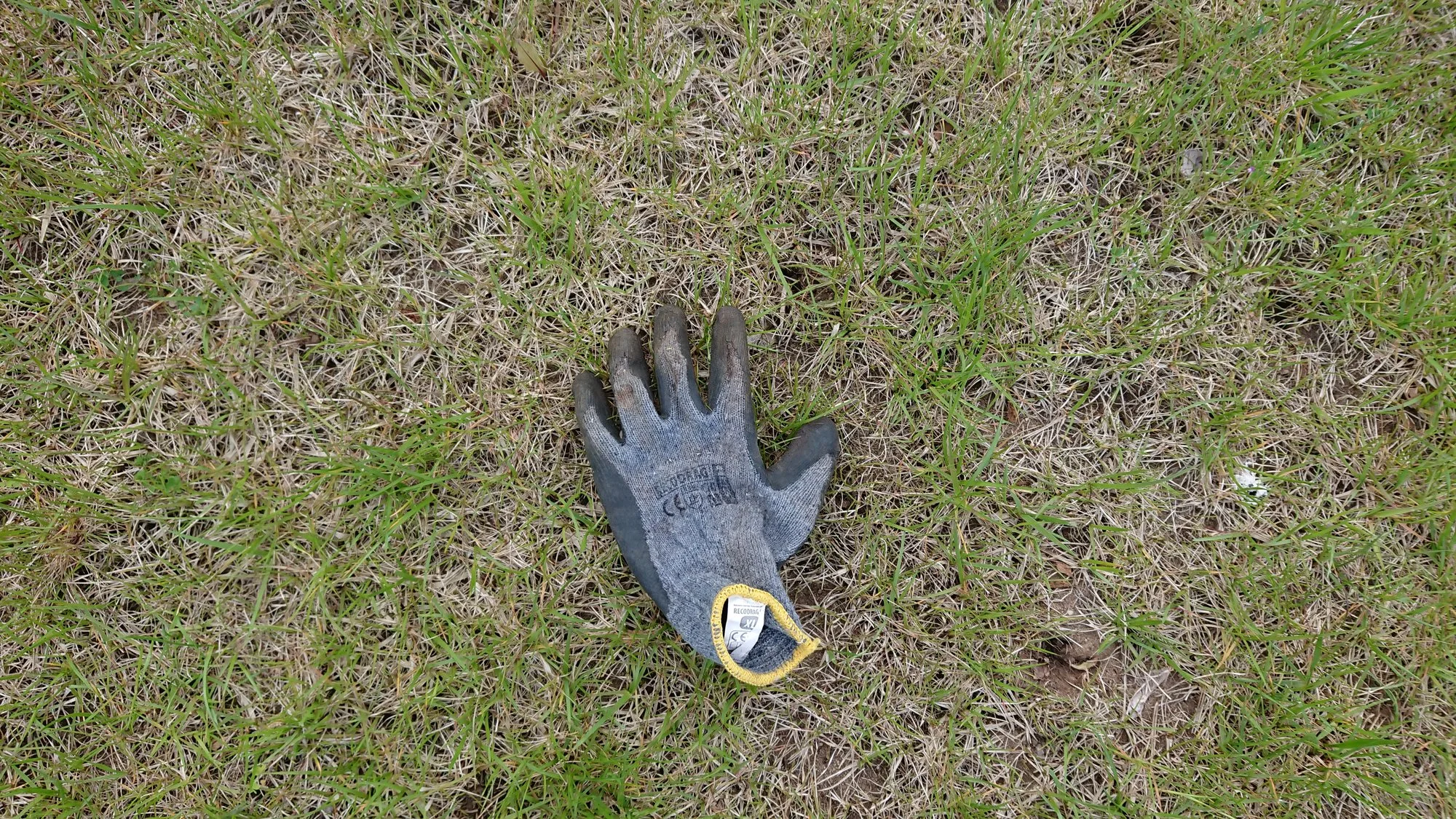 DSC_4175.JPG