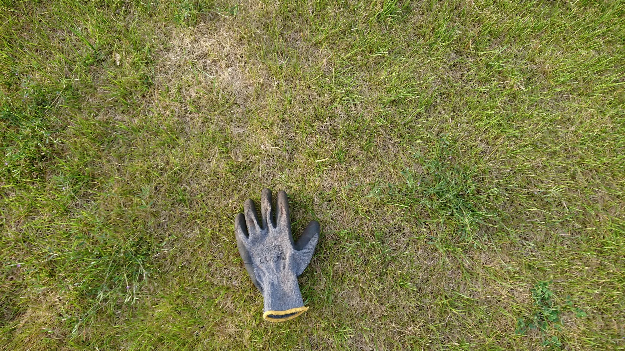 DSC_4176.JPG