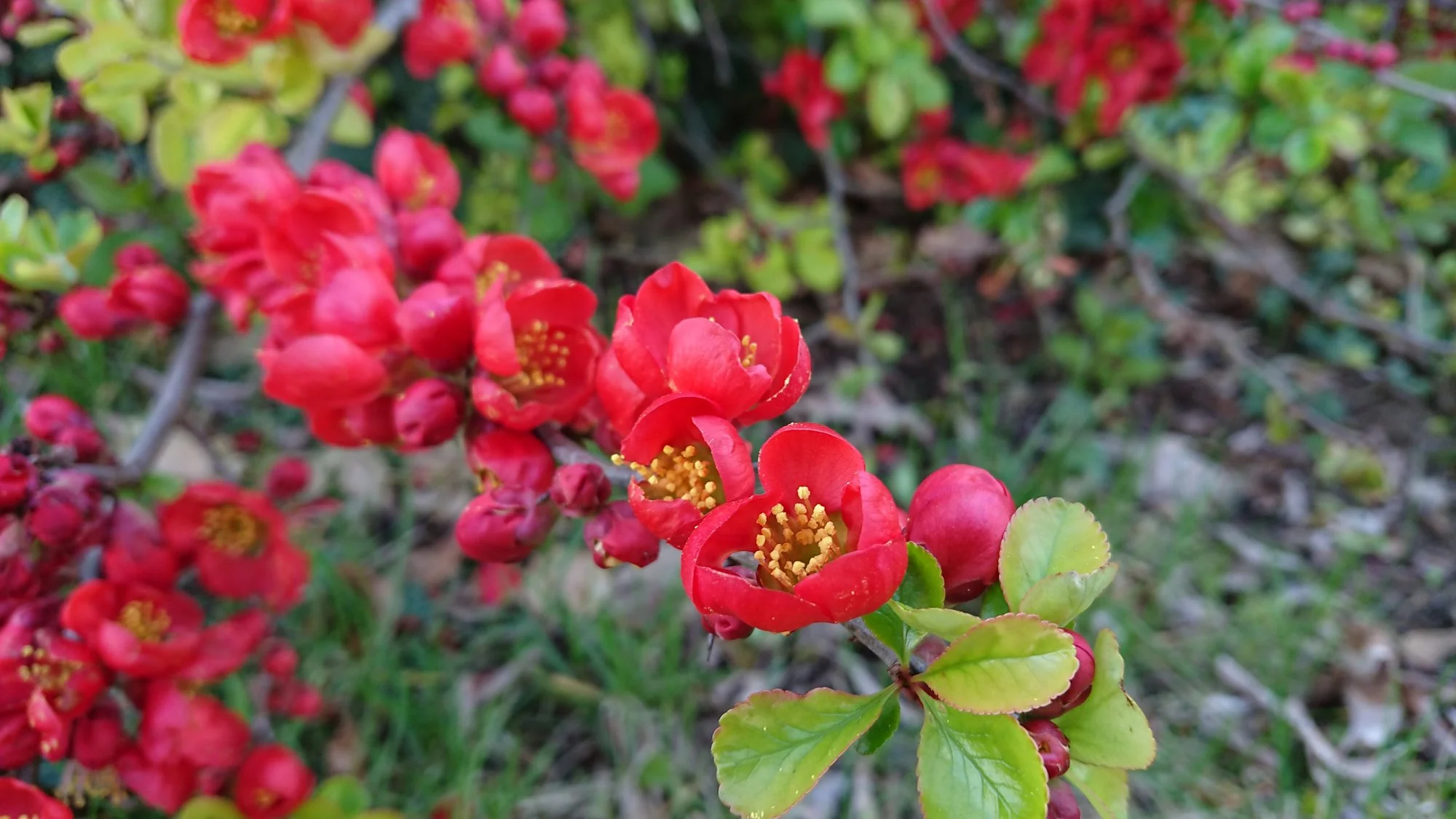 DSC_4707.webp