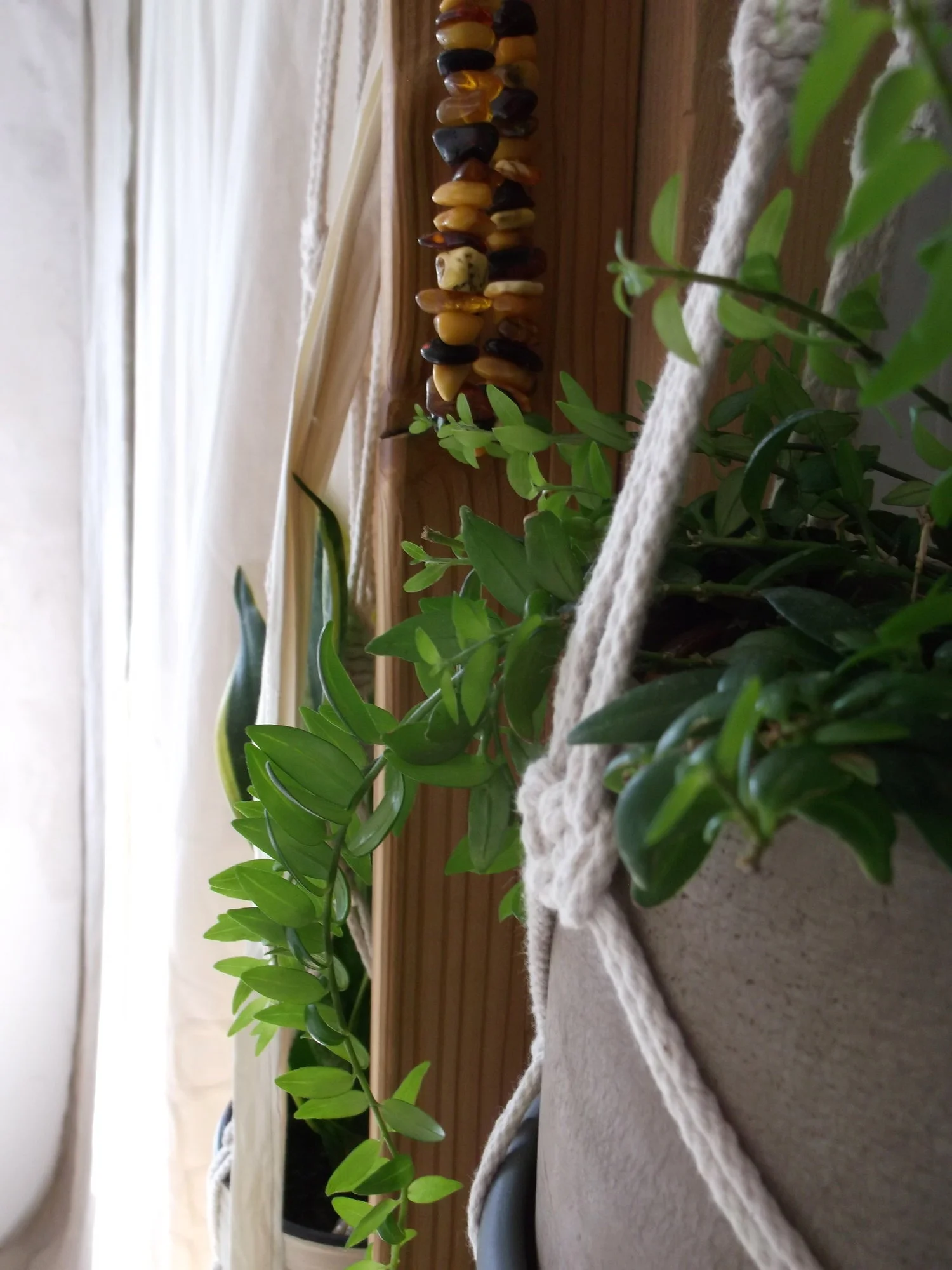 DSCF0688.webp