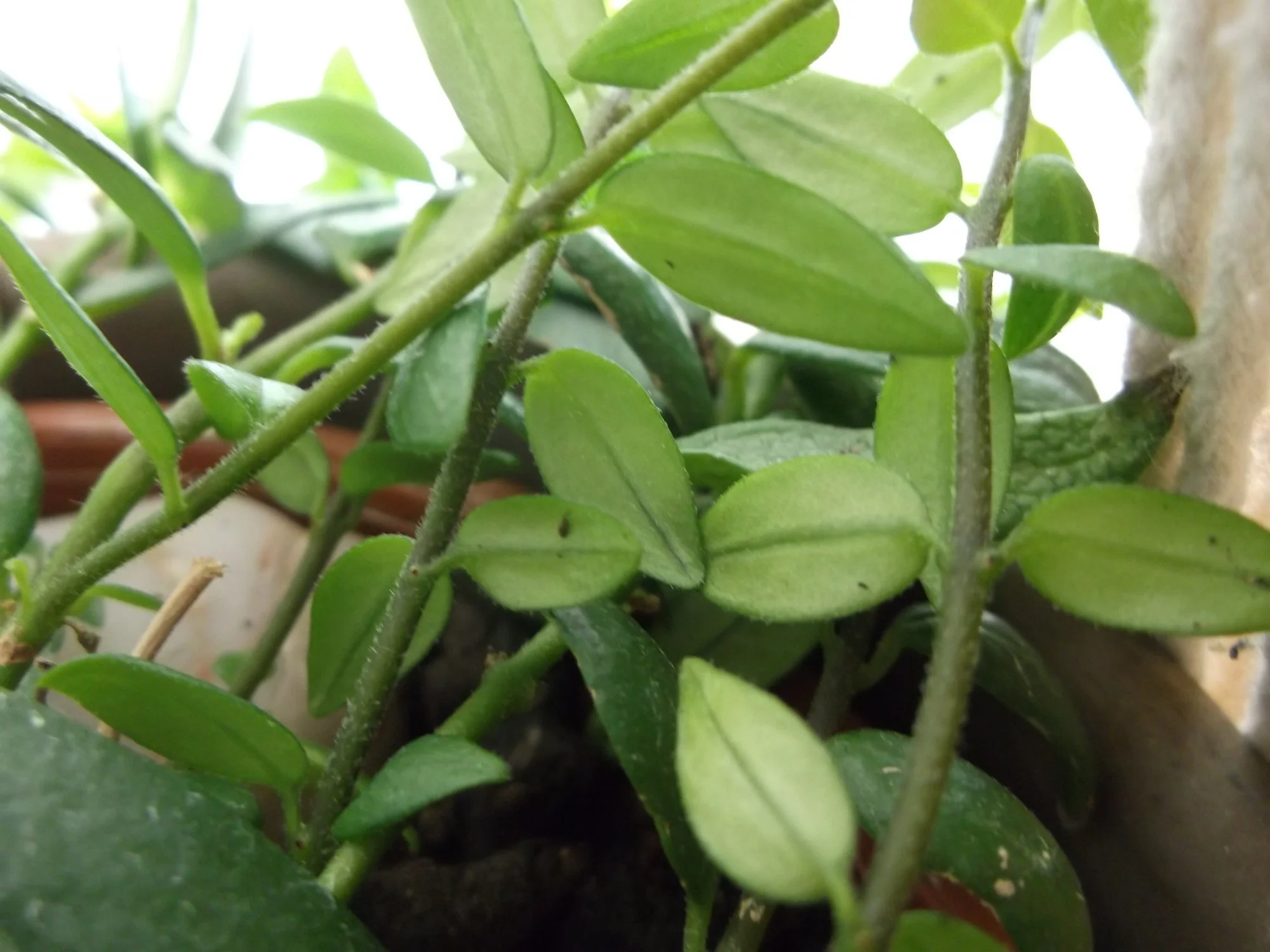 DSCF0689.webp