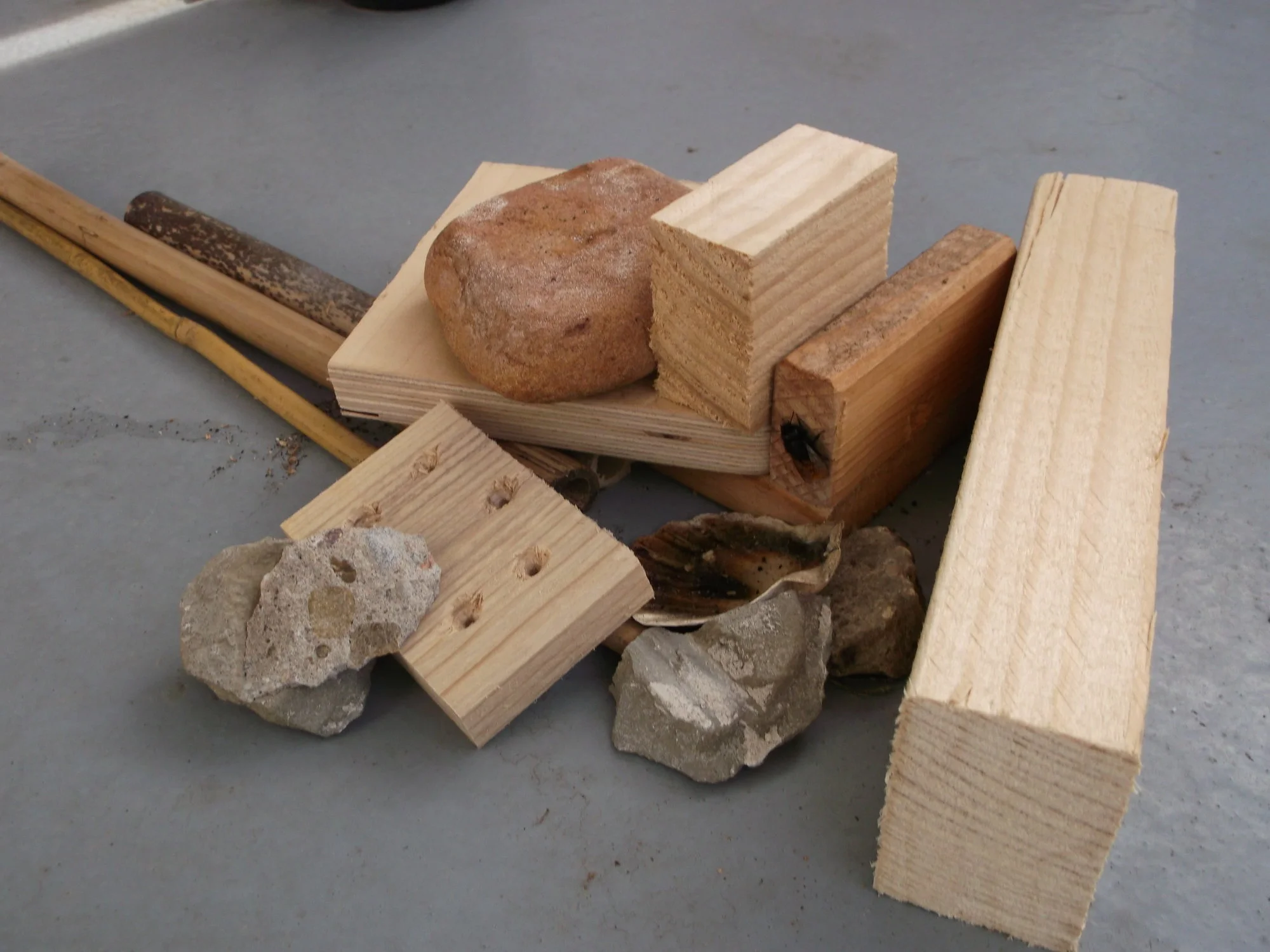 DSCF0735.webp