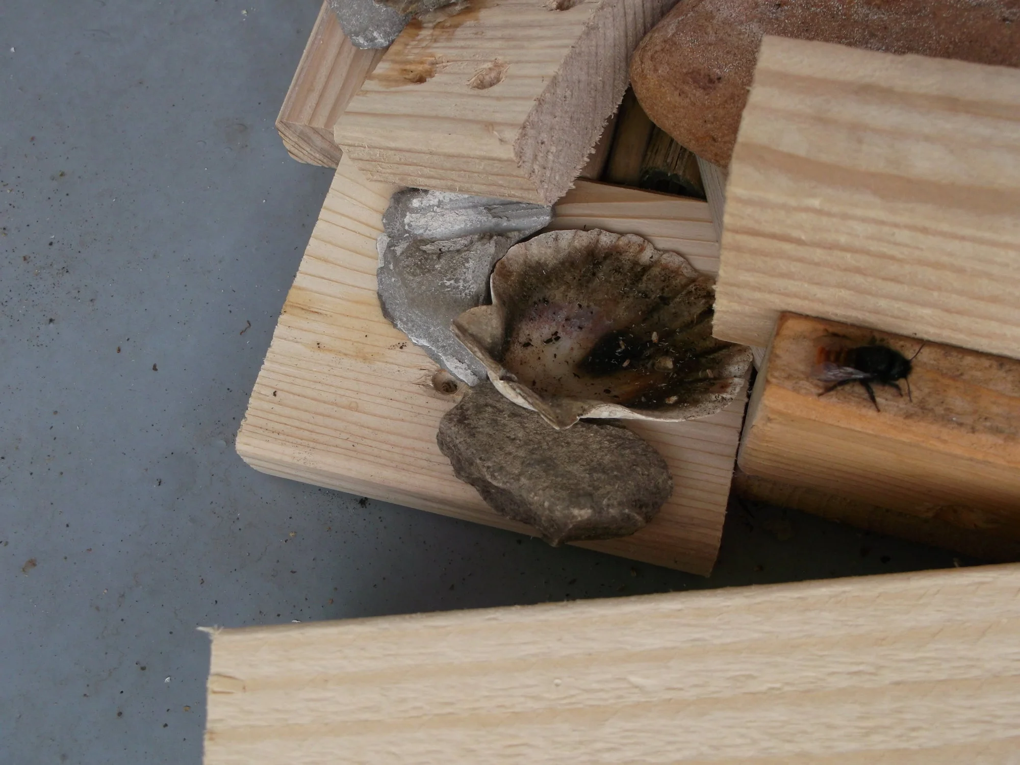 DSCF0740.webp