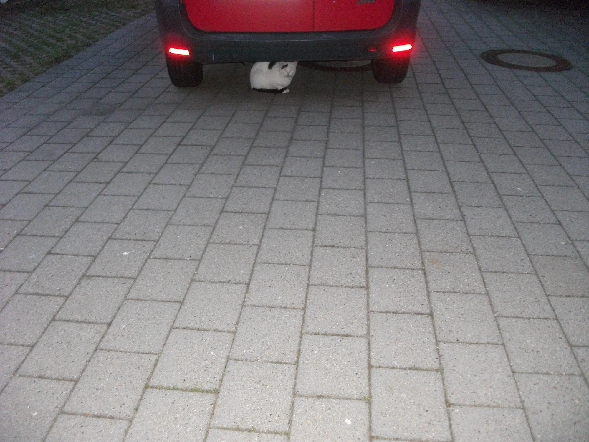 DSCF6028[1].webp