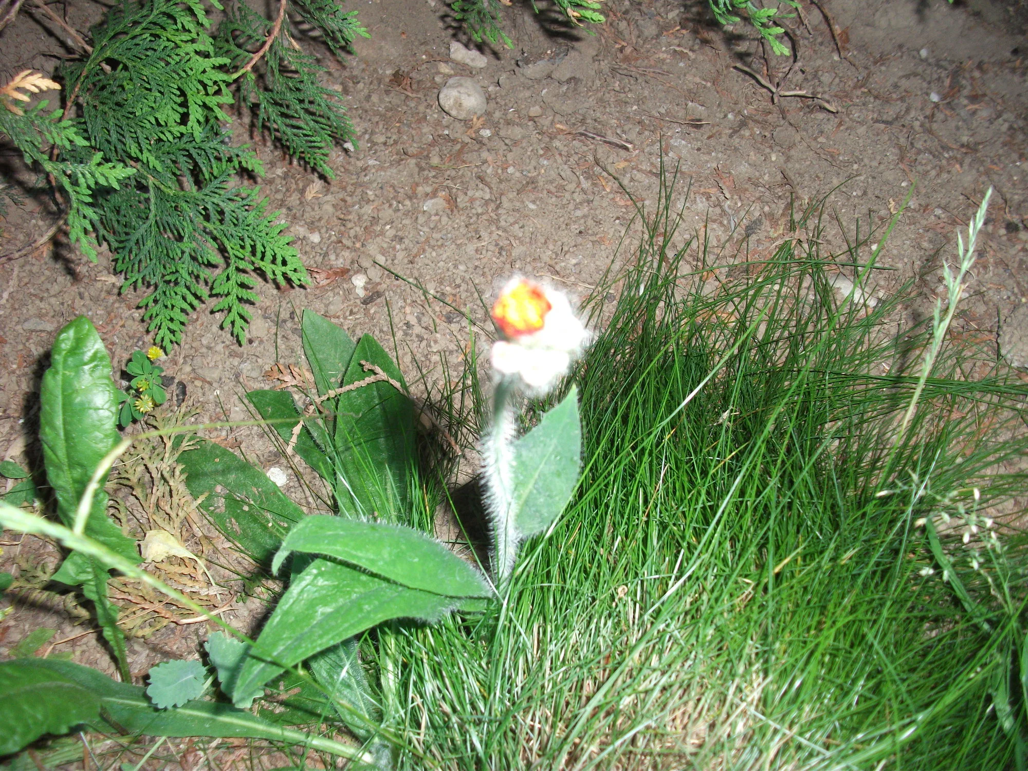 DSCF6057.webp
