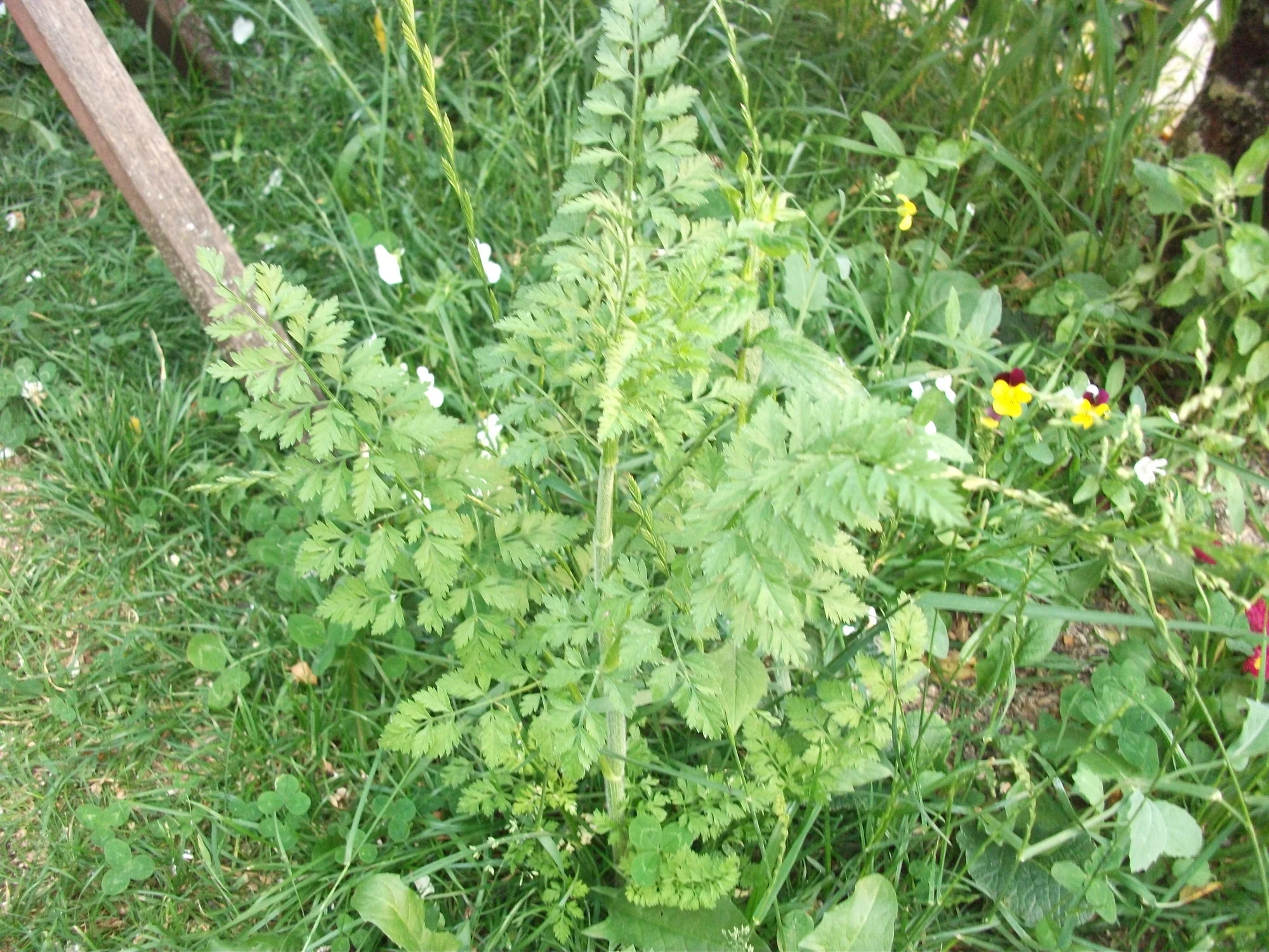 DSCF6058.webp