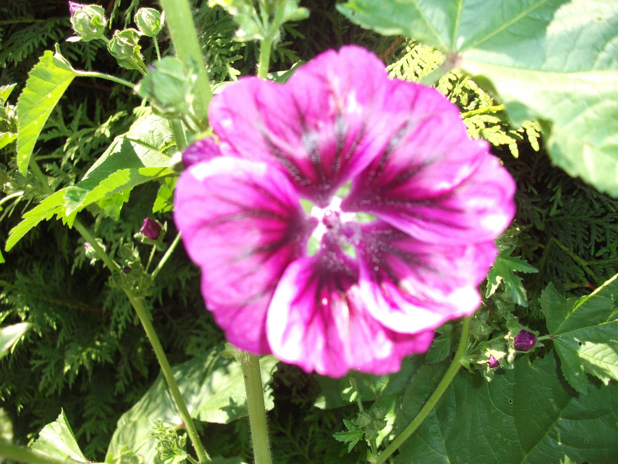 DSCF6061[1].webp