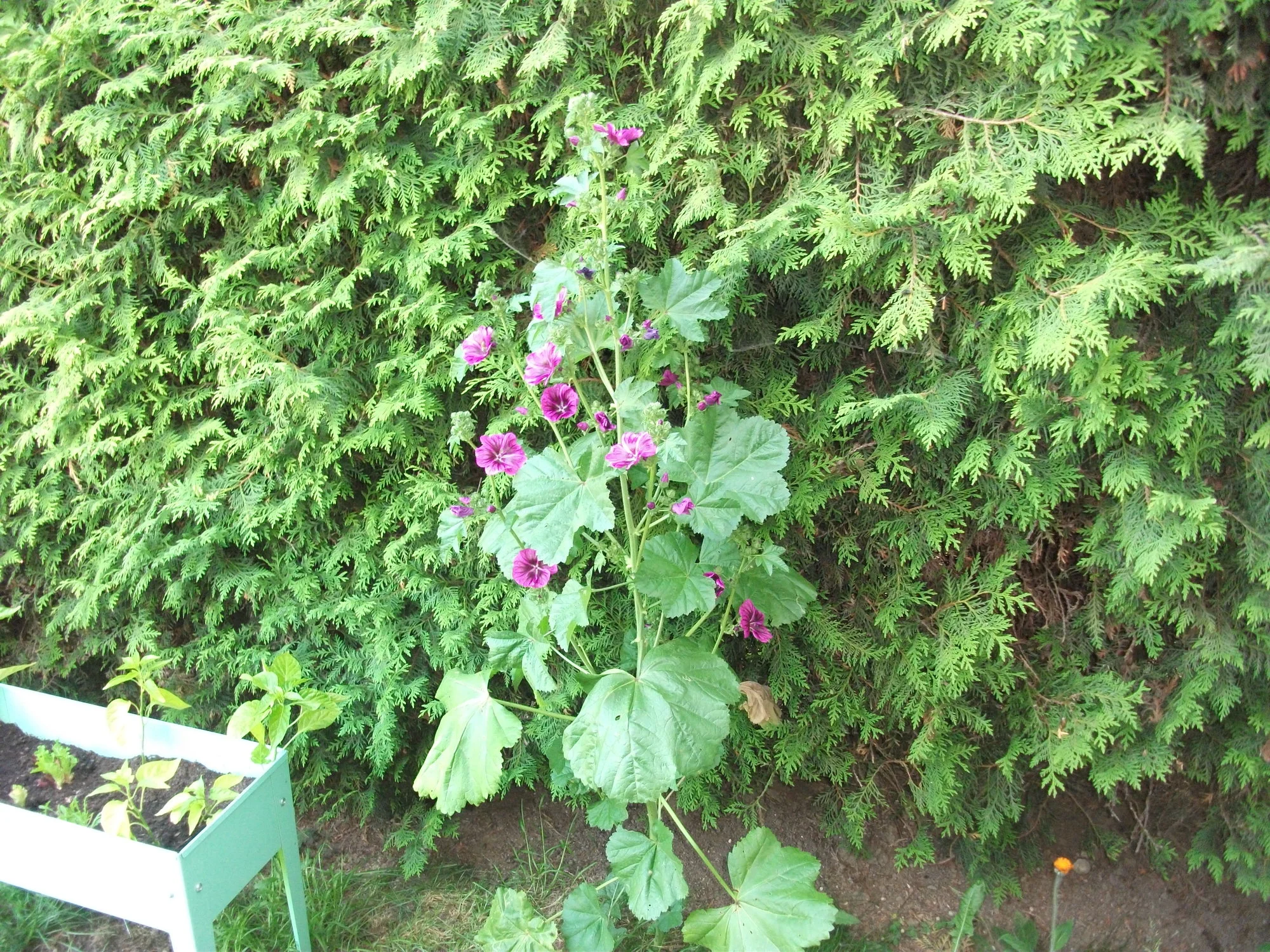 DSCF6081.webp