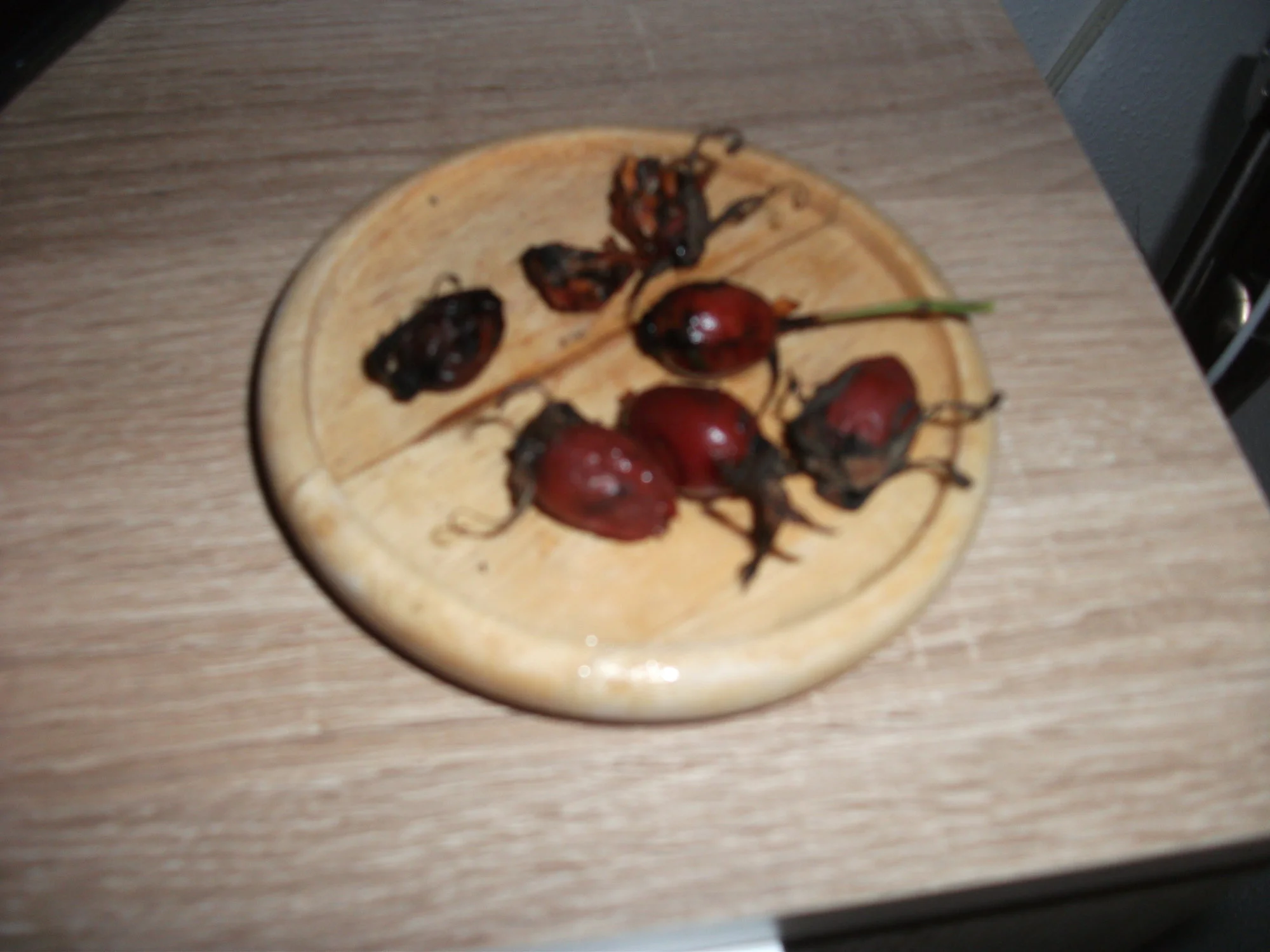 DSCF6441[1].webp