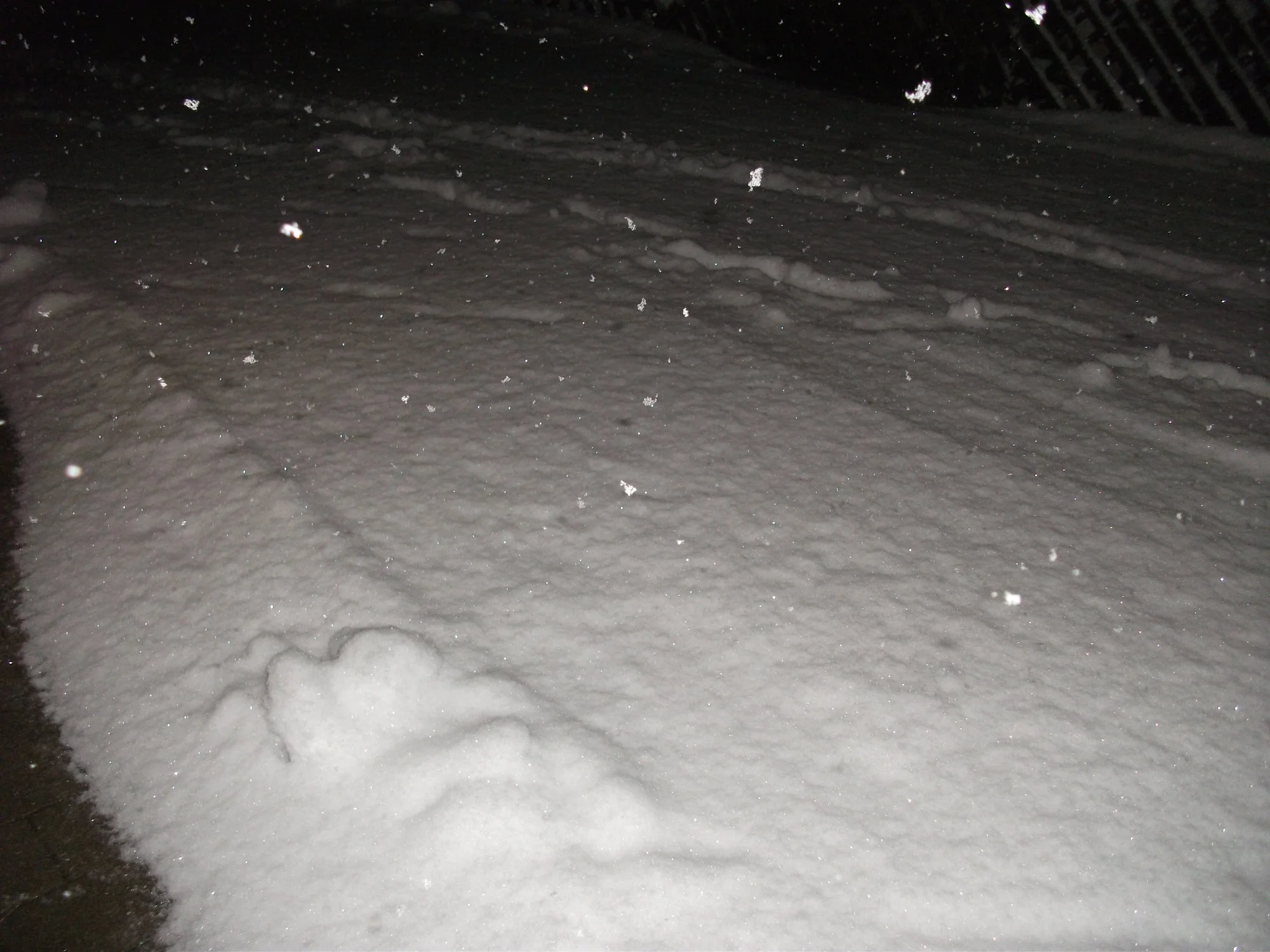 DSCF6467[1].webp