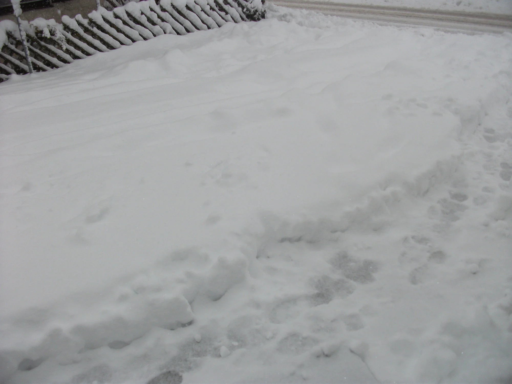DSCF6469[1].webp
