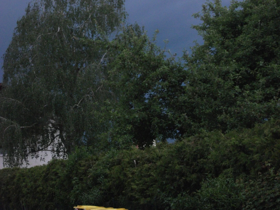 DSCF6717-1.webp