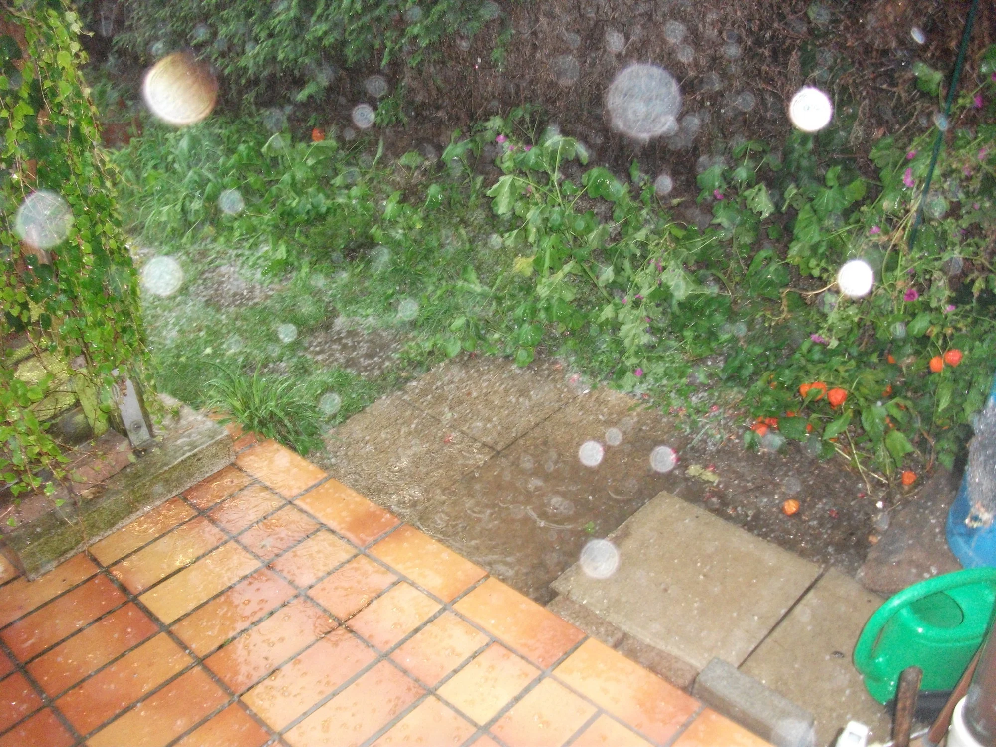 DSCF6932[1].webp