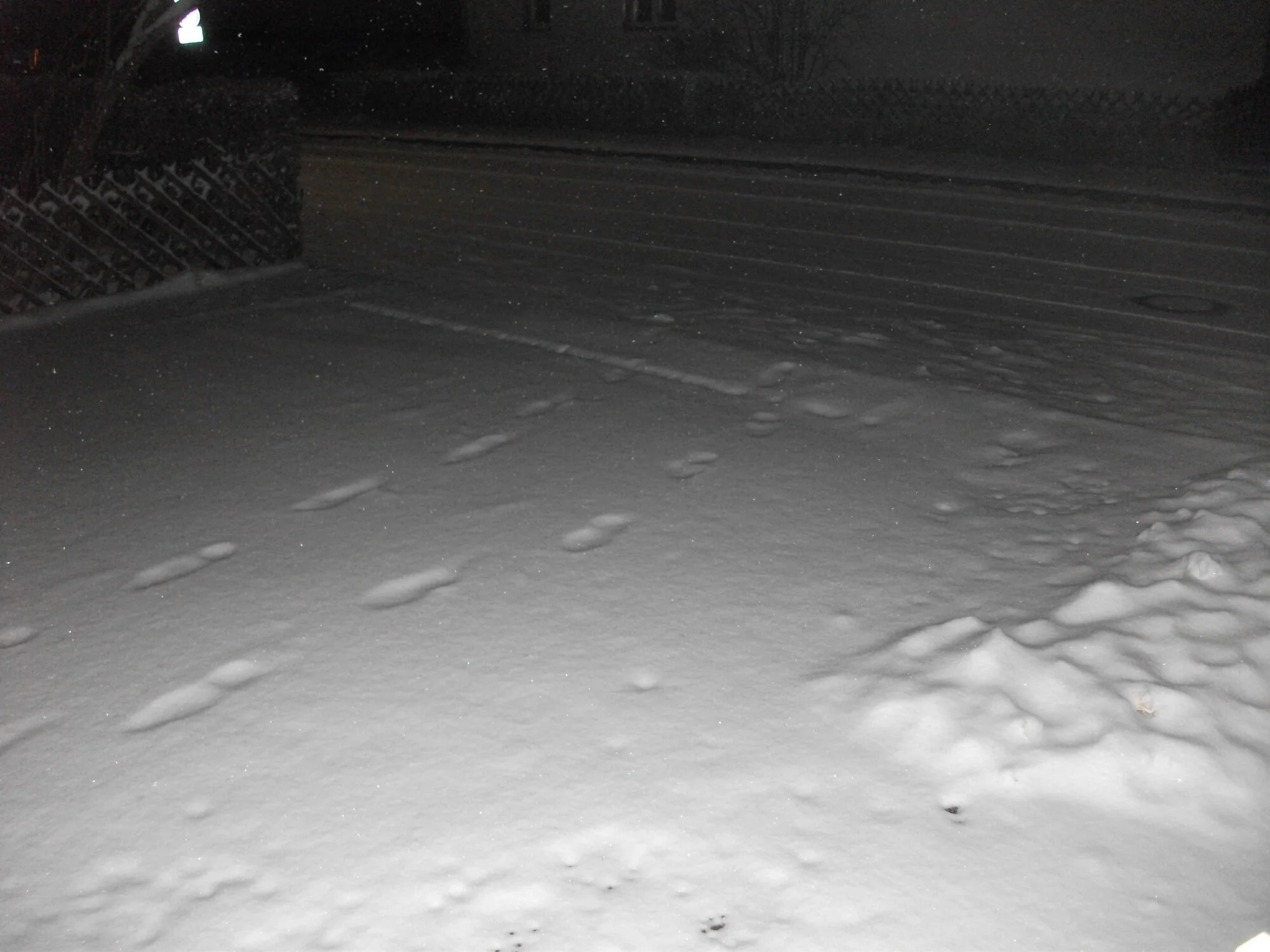 DSCF7047.webp