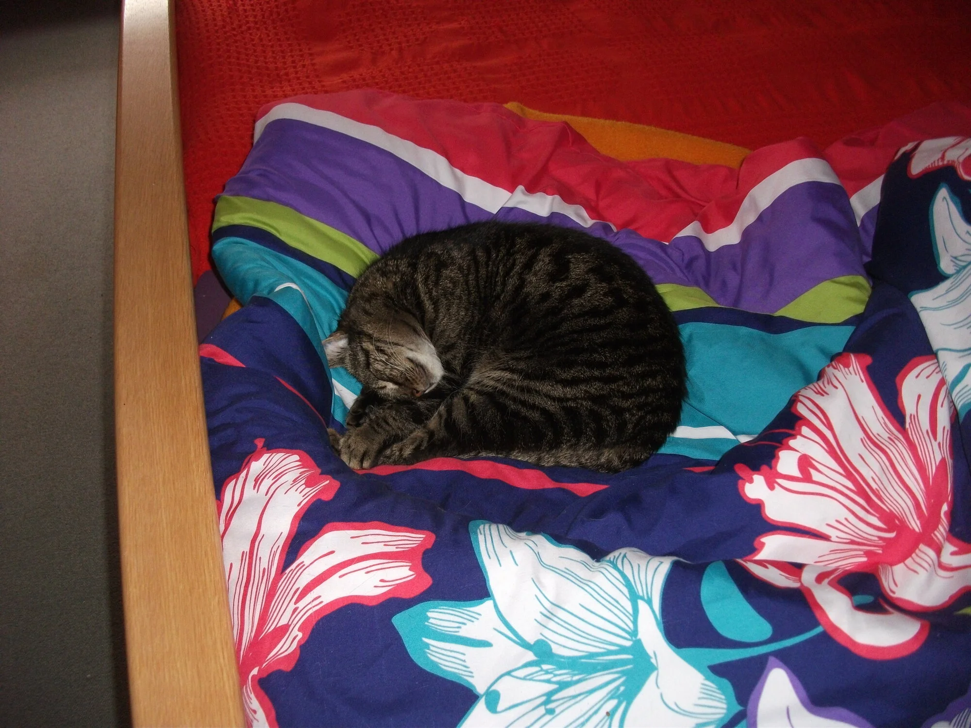 DSCF7125.webp