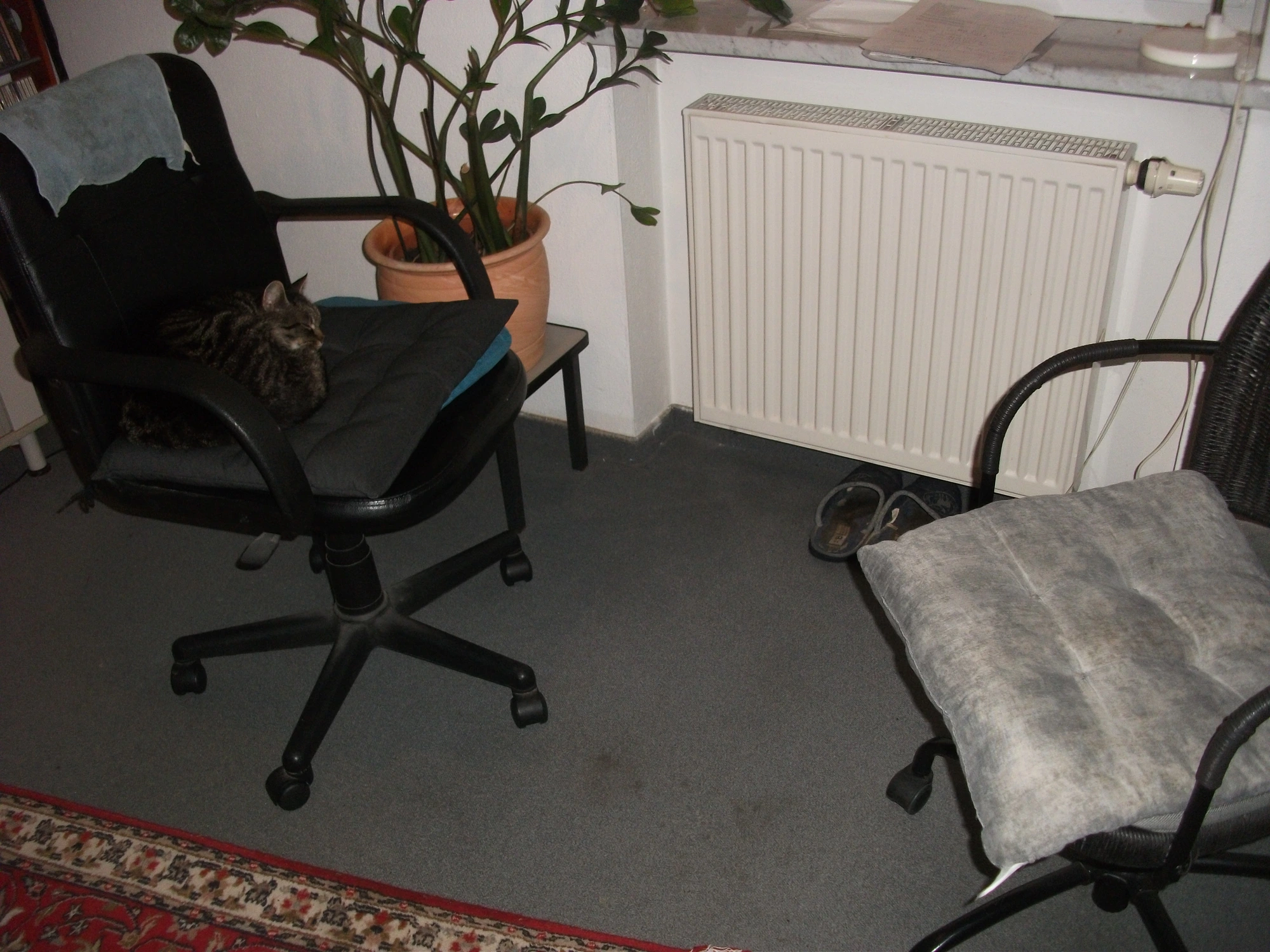 DSCF7401.webp