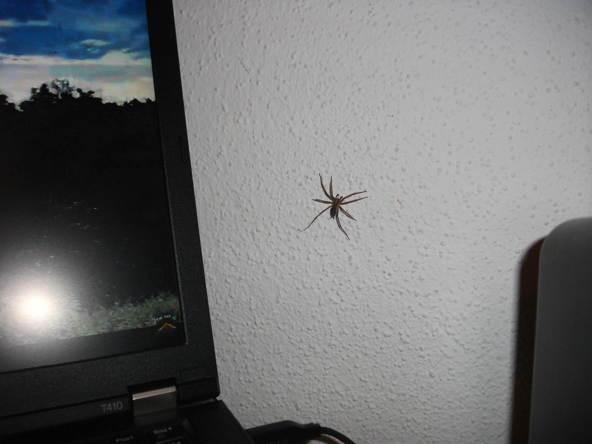DSCF7740[1].webp