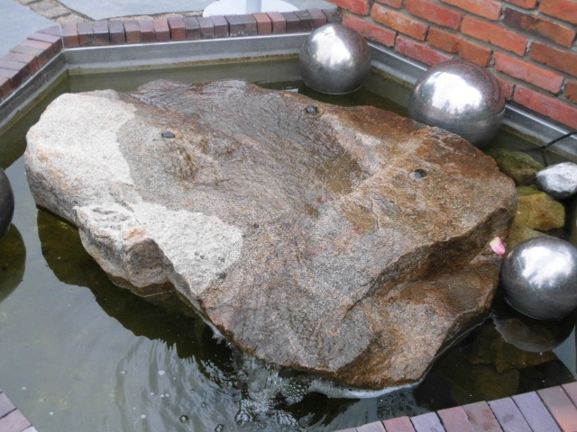 DSCI0095 (2).webp