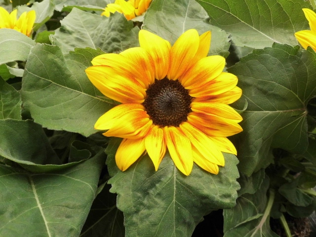 DSCI0286 (2).webp