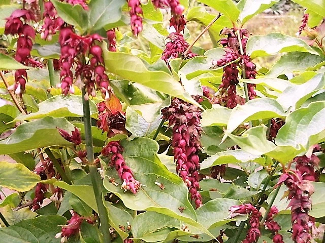 DSCI0664.webp