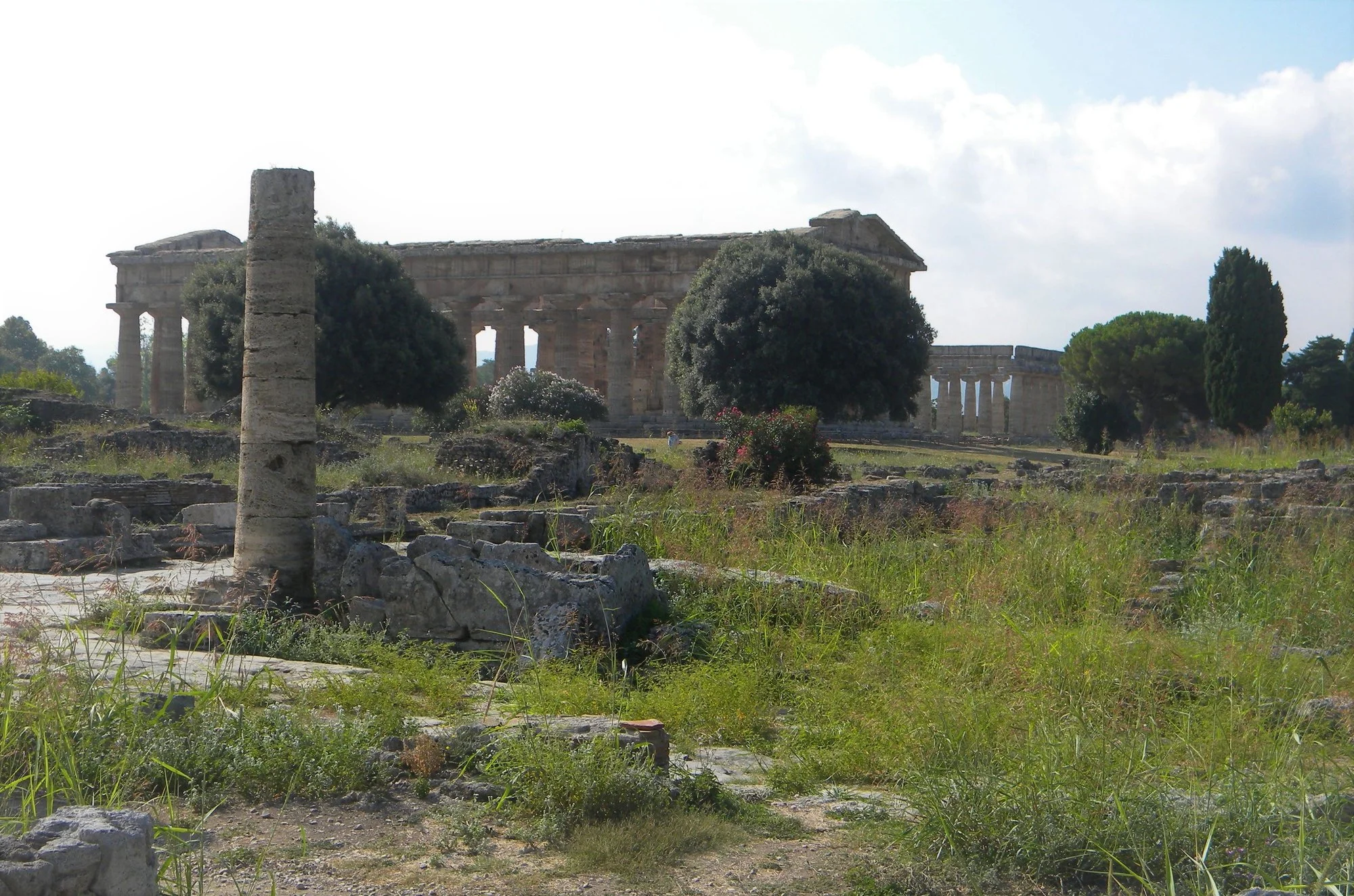 DSCN0195.webp