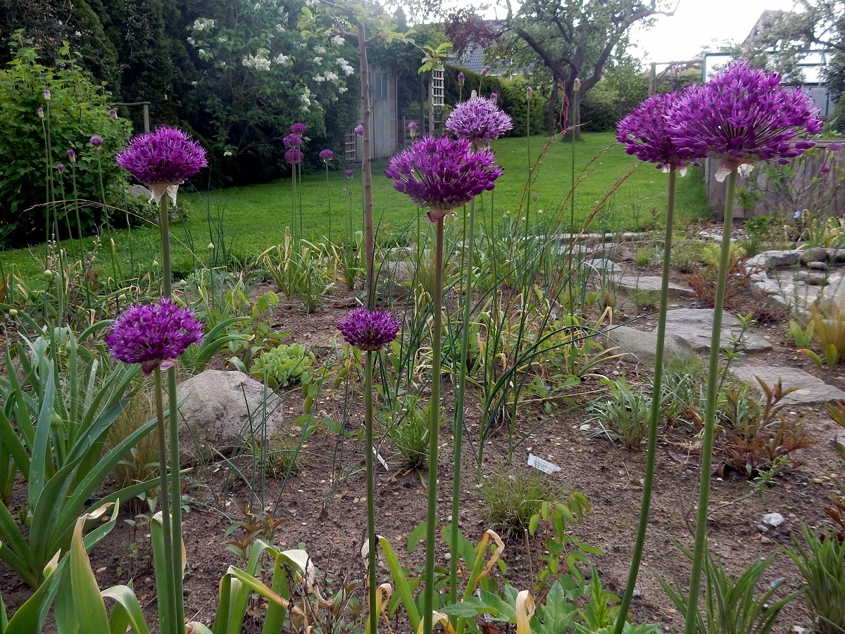 DSCN2989.webp
