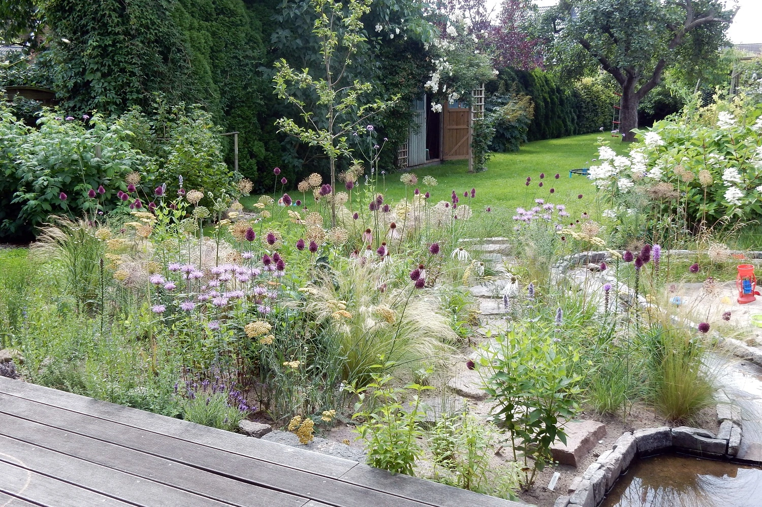 DSCN3446.webp