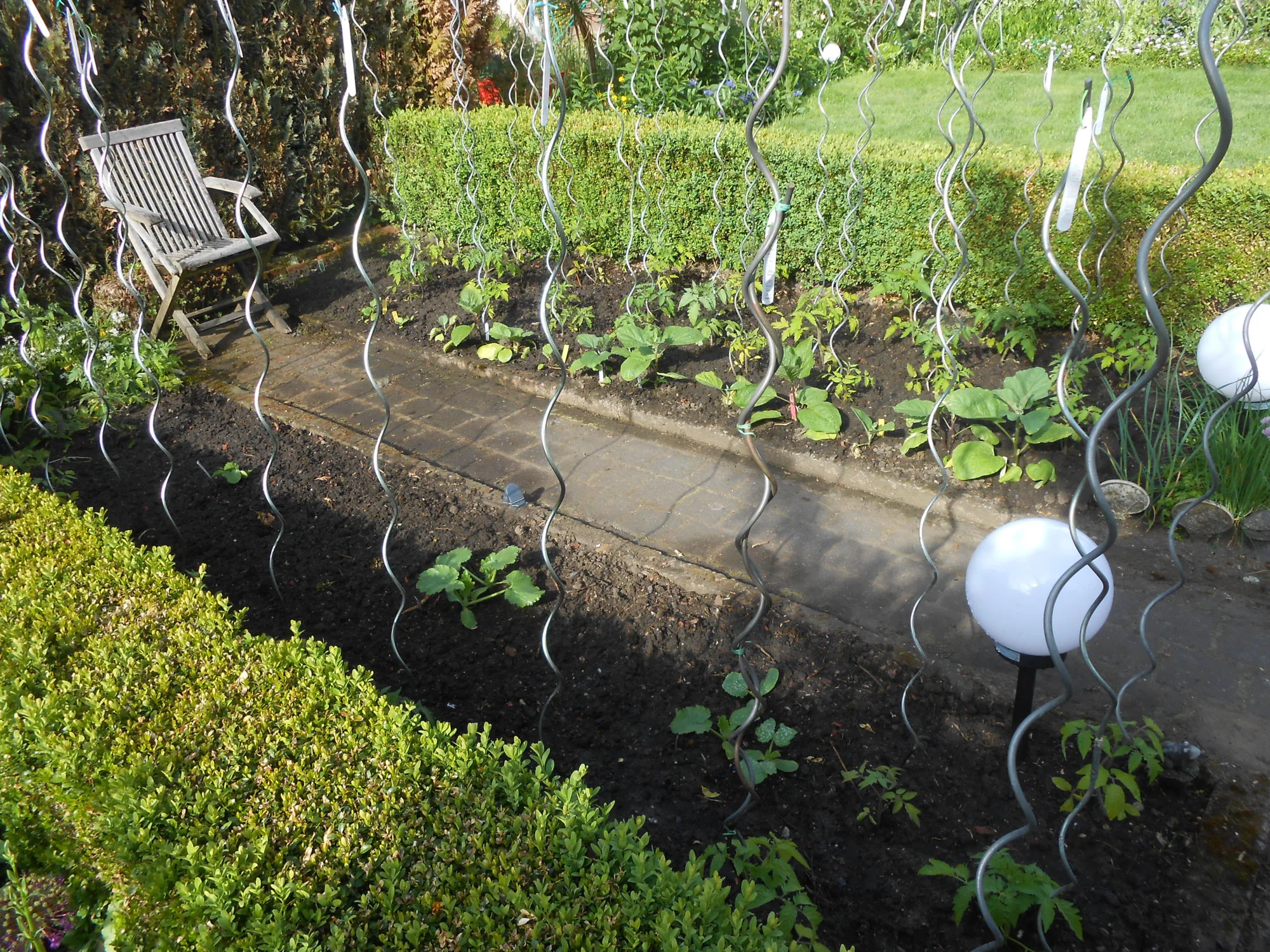 DSCN5257.webp