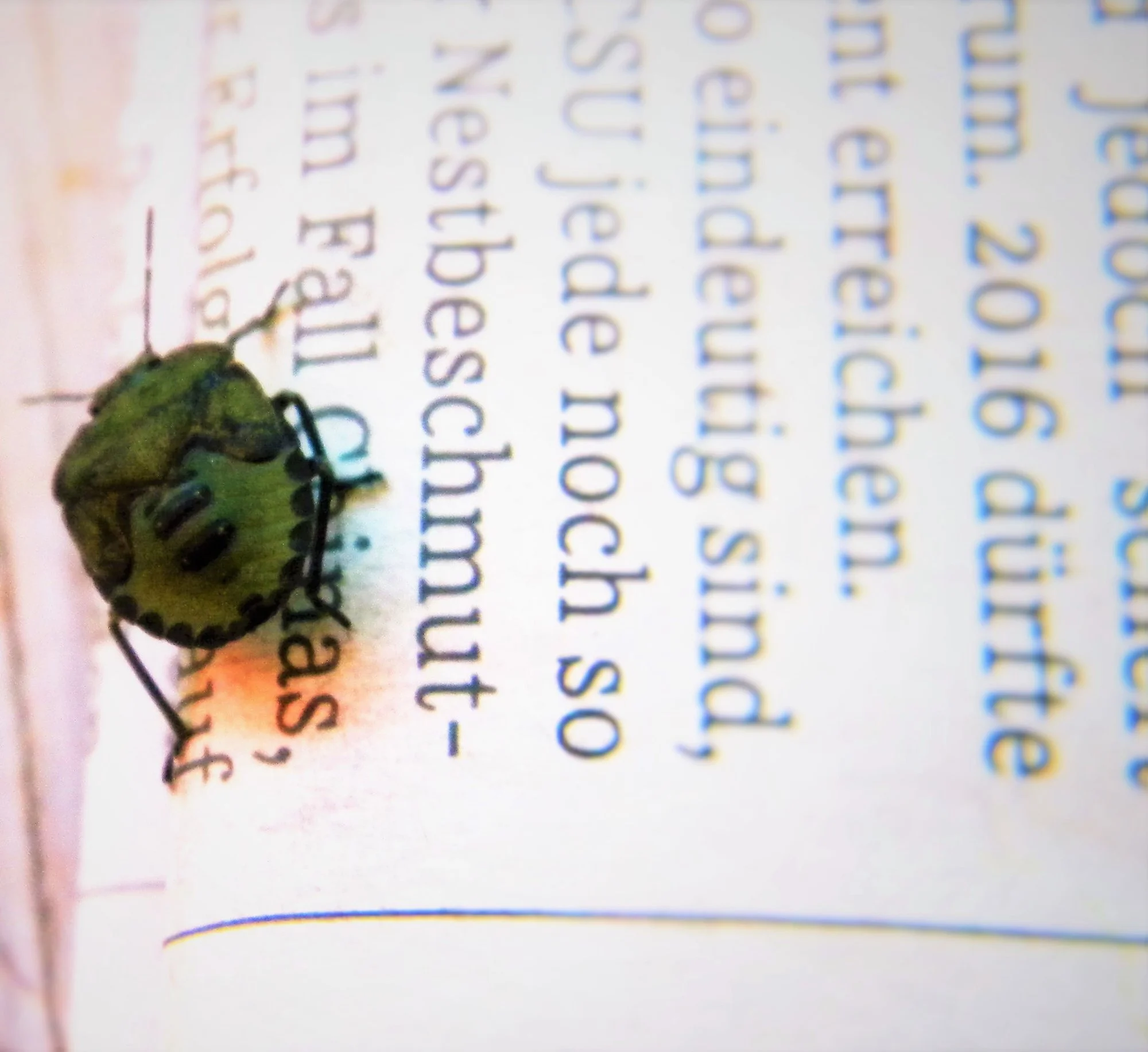 DSCN7033 (2).webp