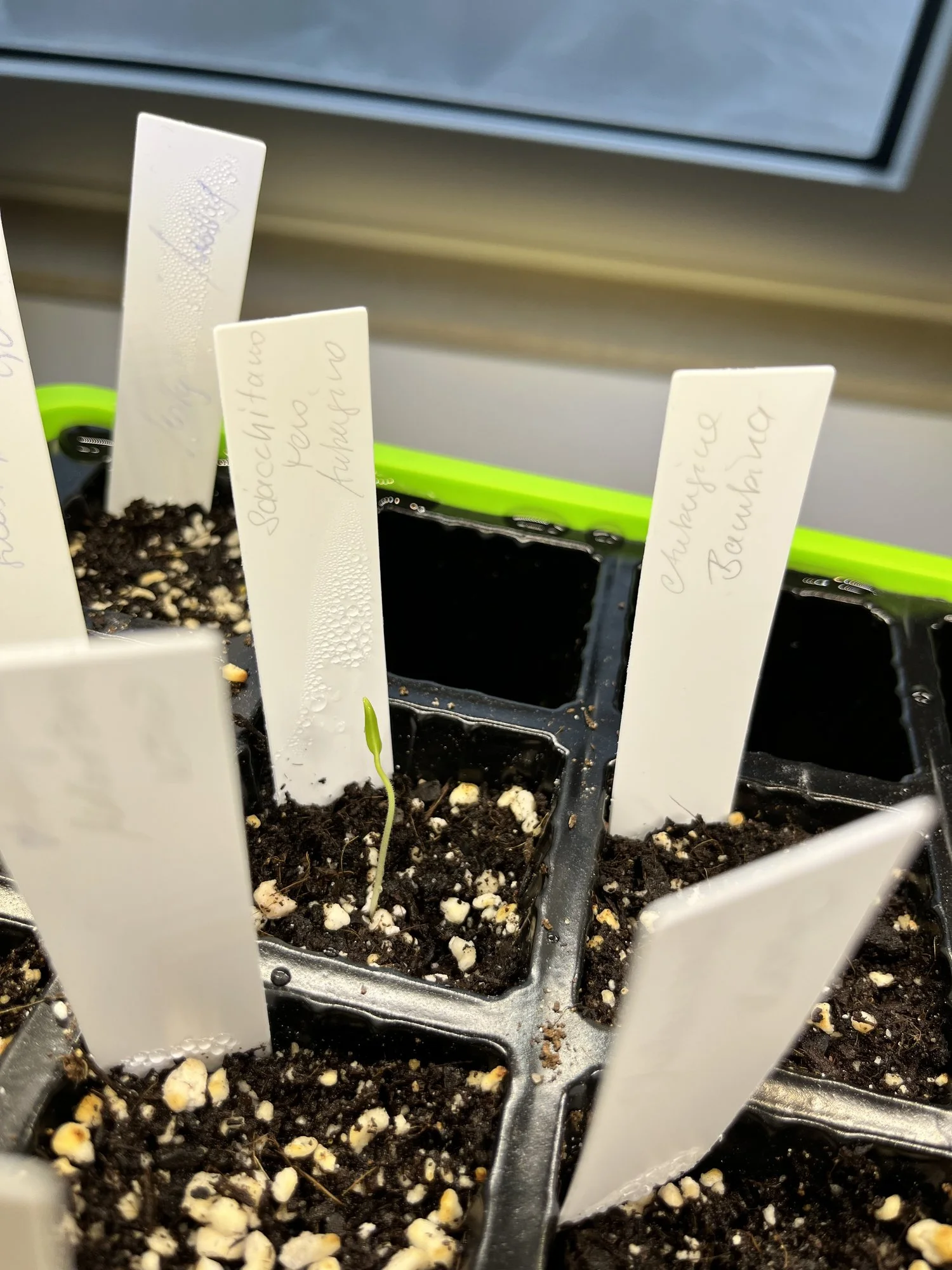 forum.hausgarten.net