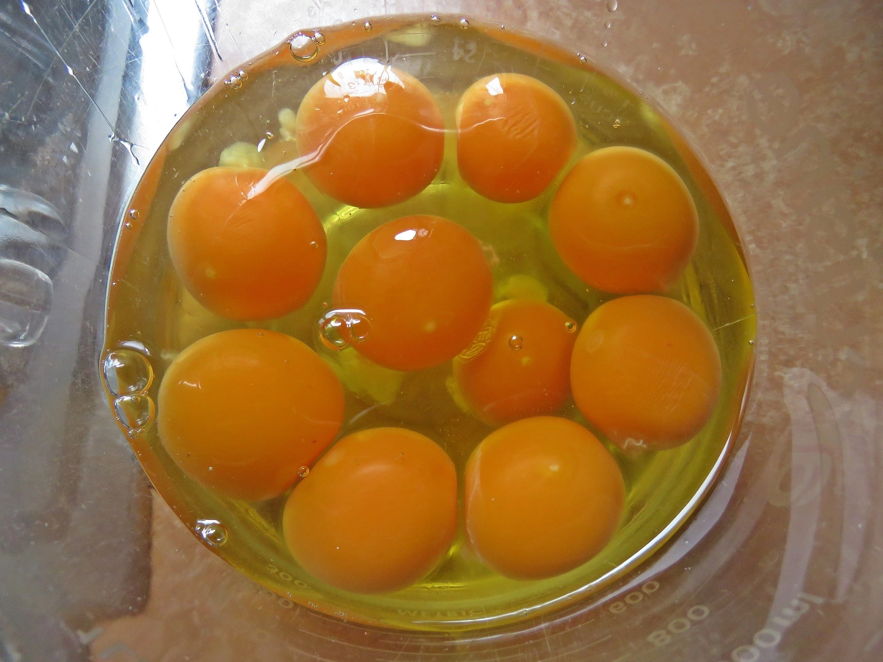 eier v.webp