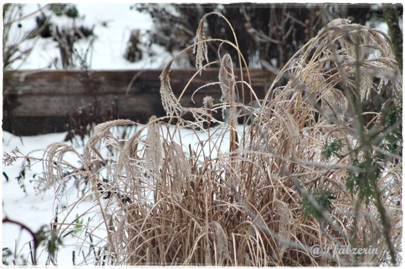 Eisregen 10.webp