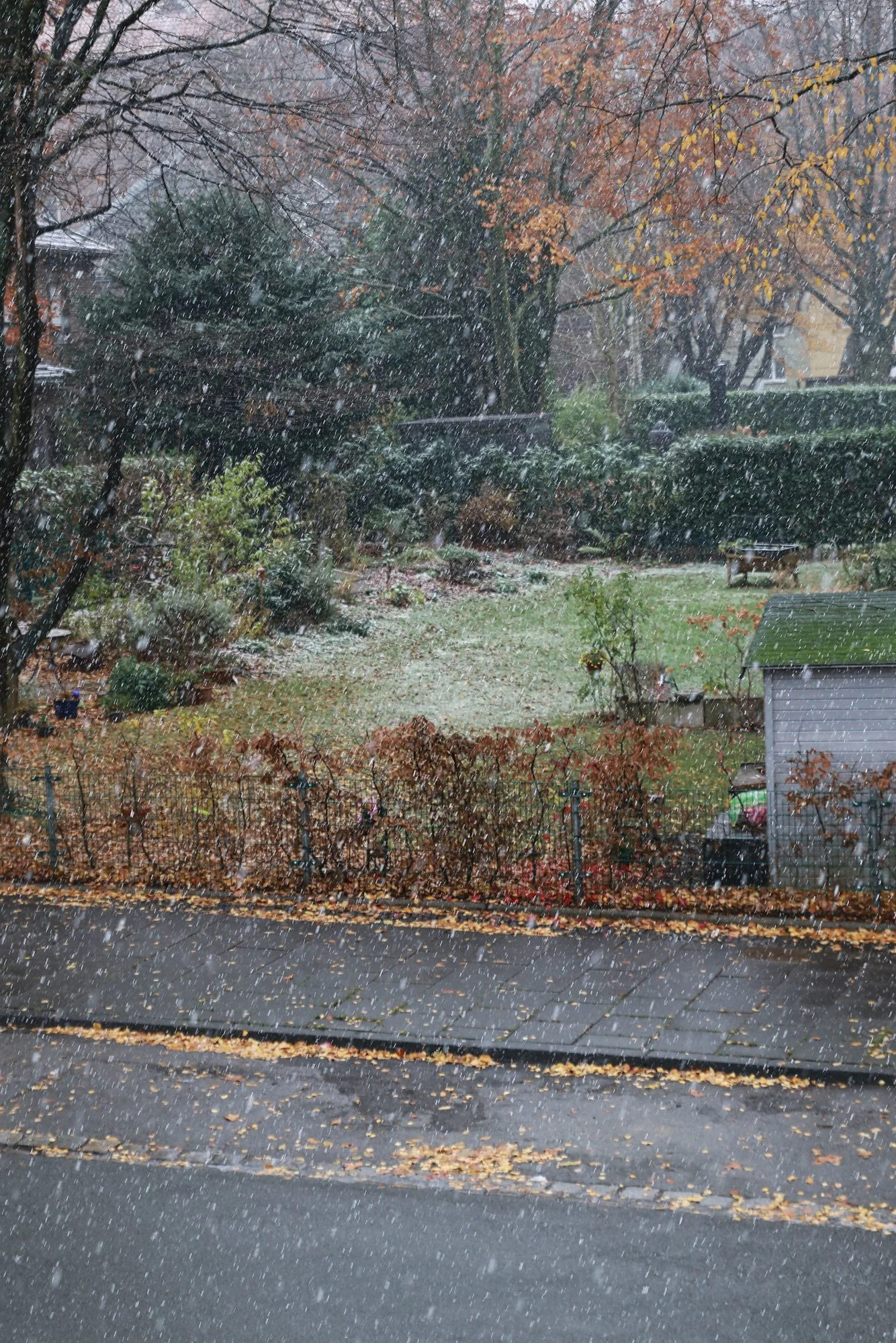 Erster Schnee2022.webp
