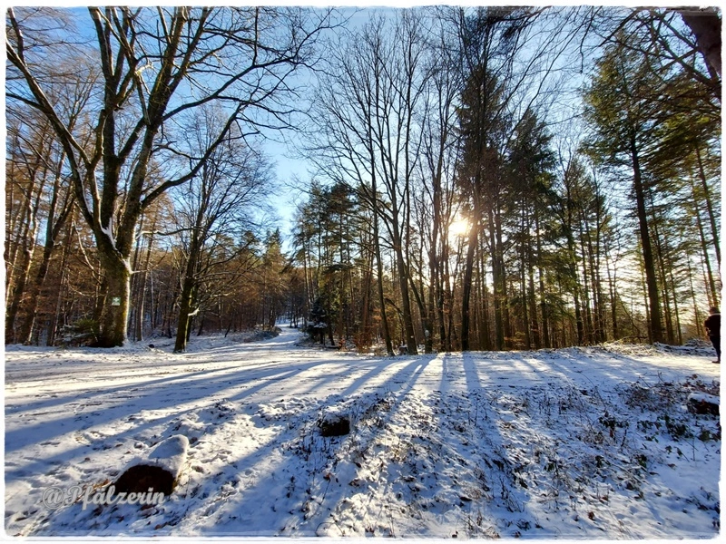 Eyberg 16.webp