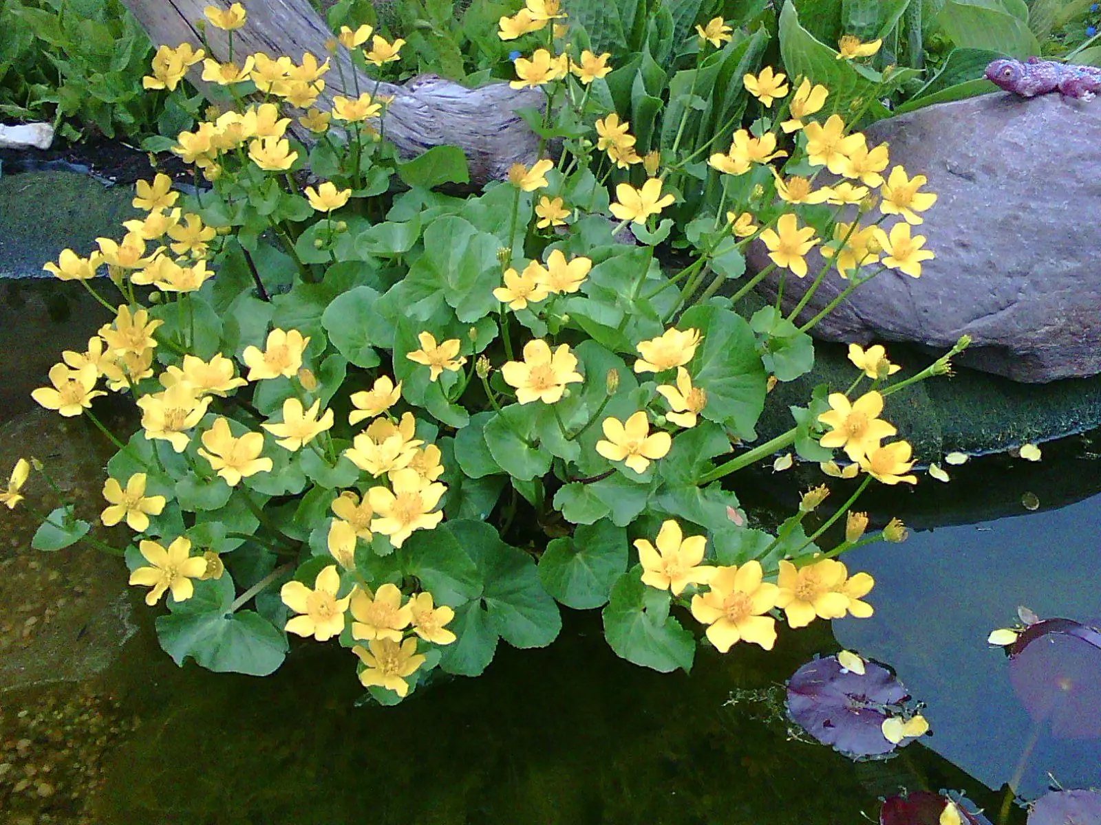 f6t34p54754n6_tnEWDZFu.webp
