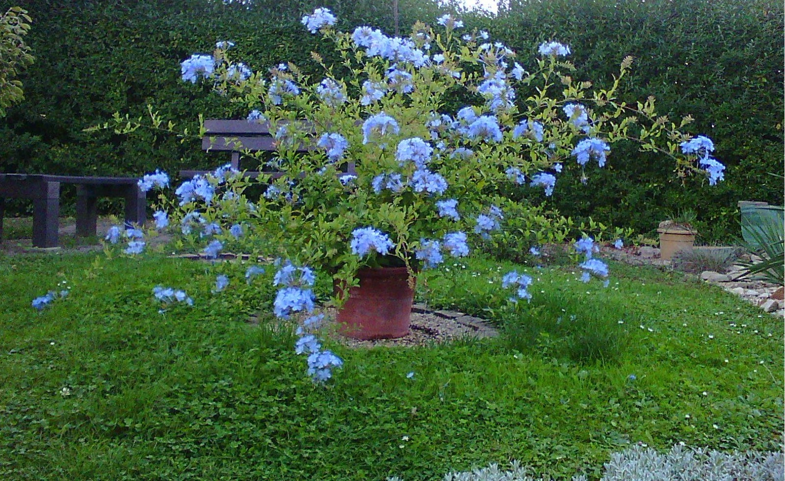 f6t34p58437n8_tsDUbAgf.webp