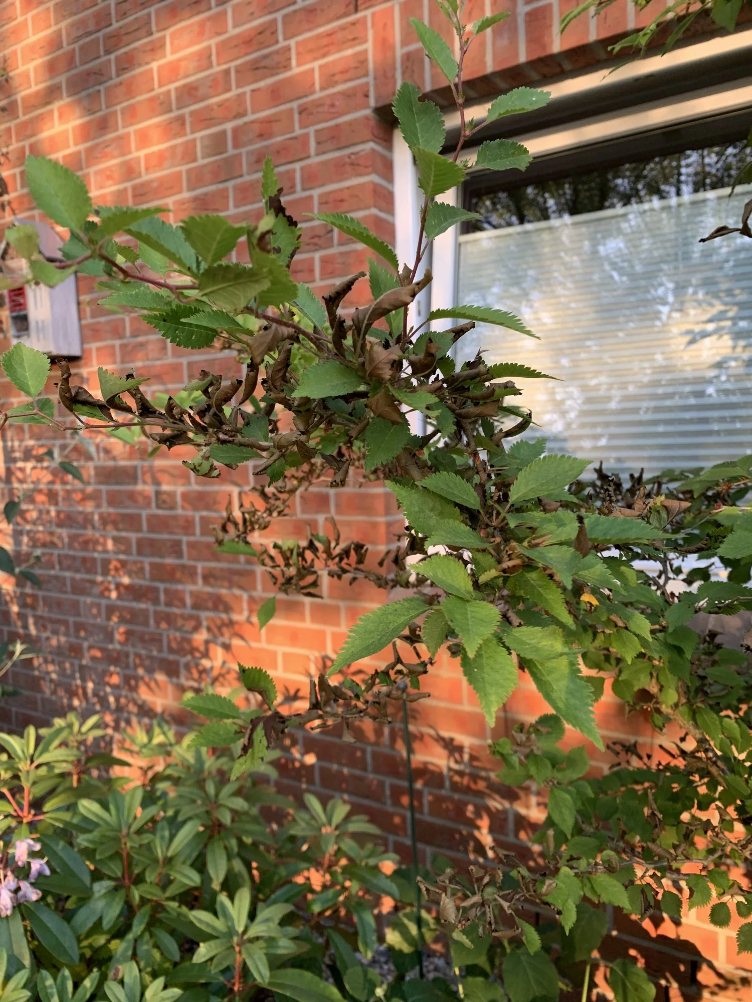 F76F1F9E-9722-4305-B3C3-F4DA2AE6B07F.webp F76F1F9E-9722-4305-B3C3-F4DA2AE6B07F.webp