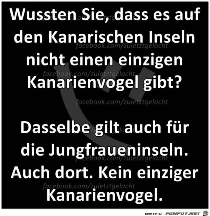 FB_IMG_1691345334308.webp