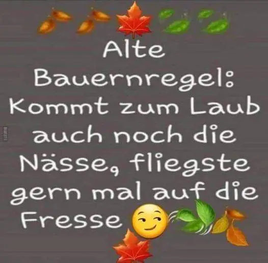 FB_IMG_1697635557697.webp