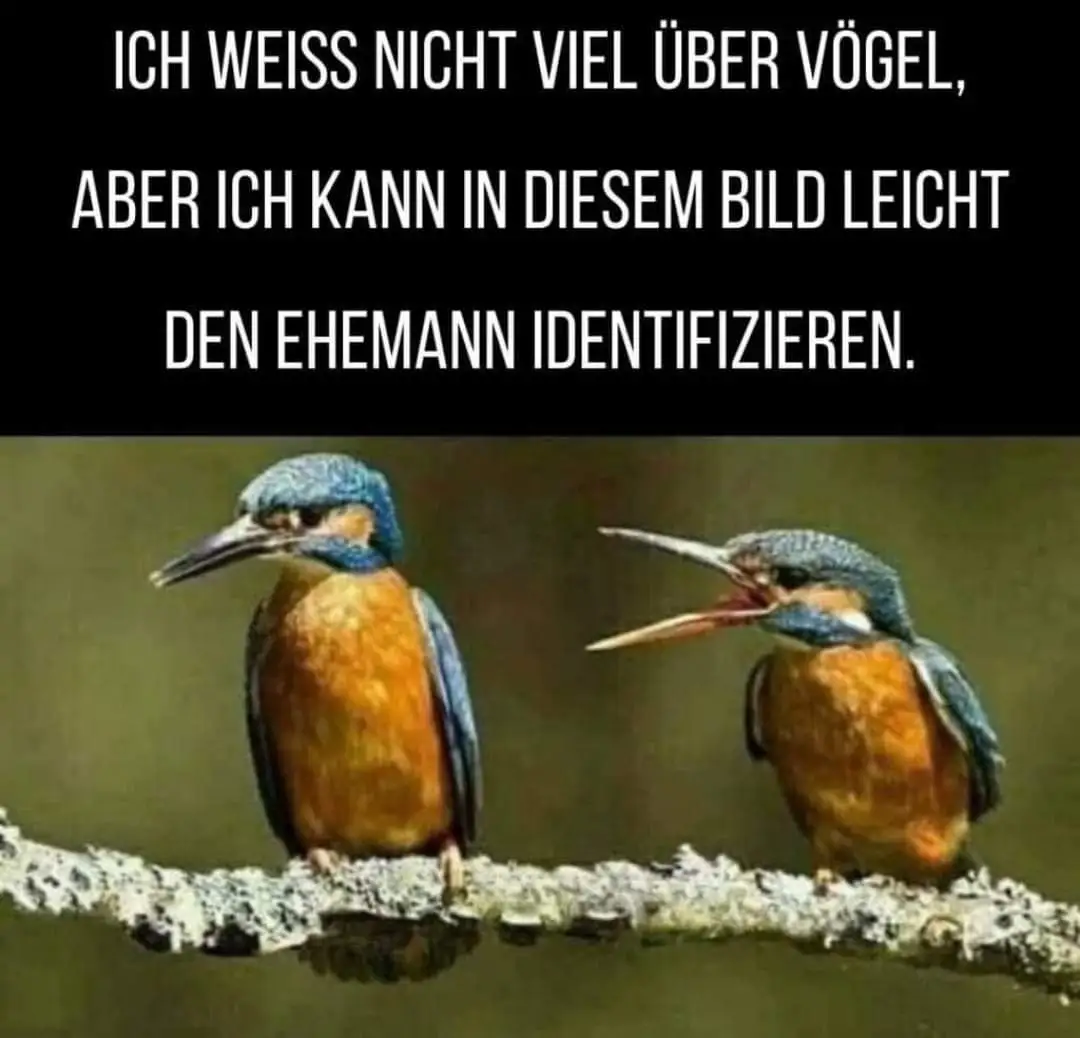FB_IMG_1722812120453.webp