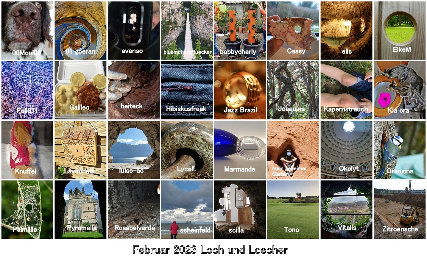 Februar 2023 Loch und Loecher  v.jpg